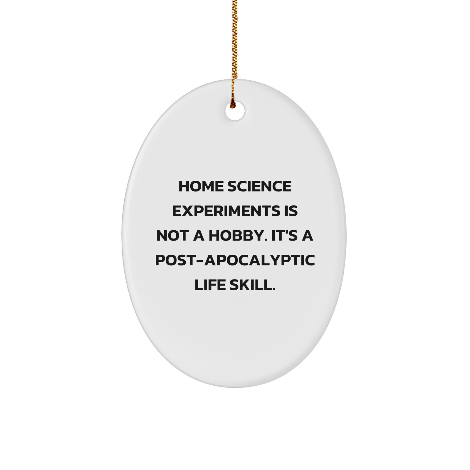 Home Science Experiments Gifts for Future Scientists, Oval Ornament with Funny Quote, Gifts from Family to Friends, Home Science Experiments Enthusiasts - Image 1