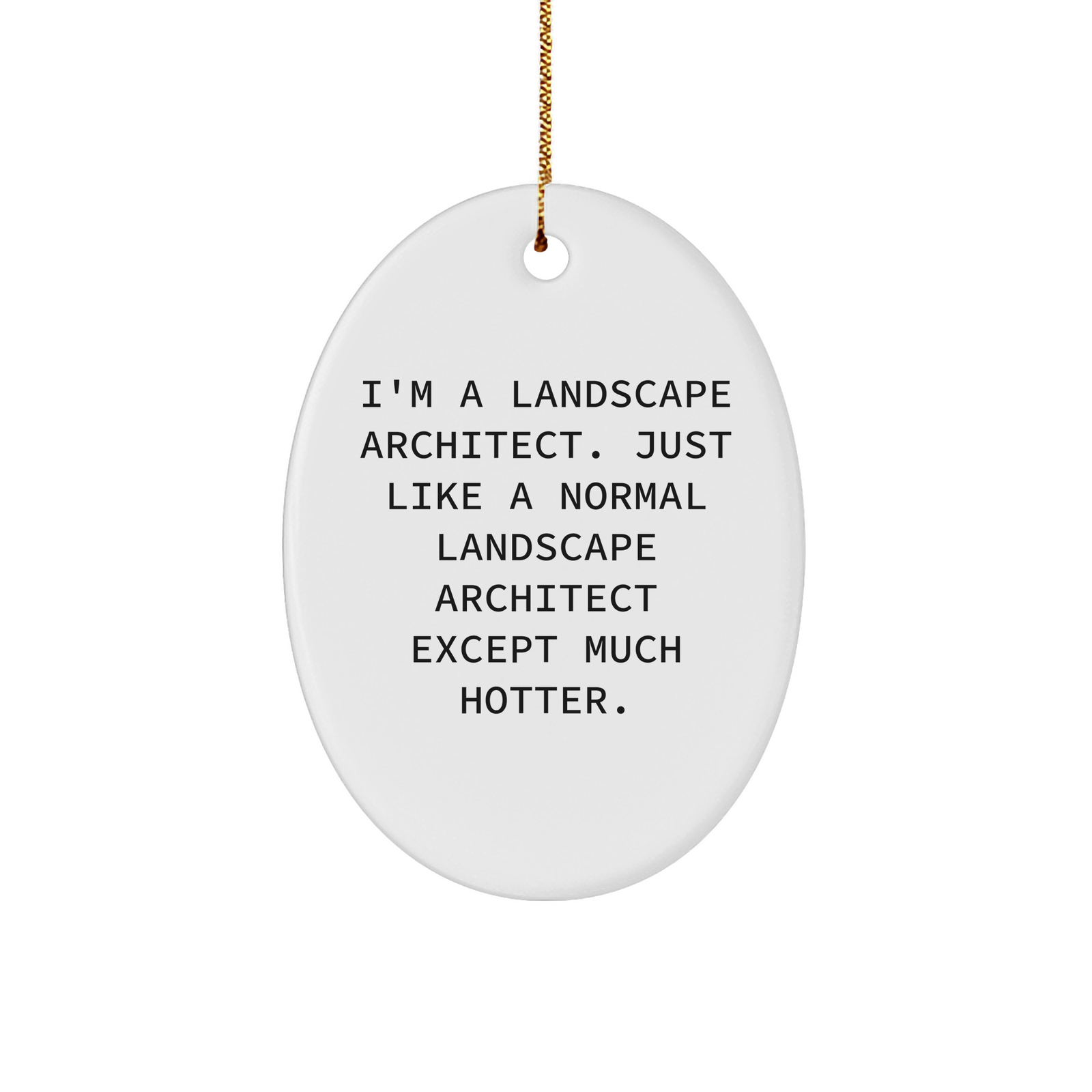 Landscape Architect Gifts from Friends and Family - Funny Oval Ornament for Christmas, I'm A Landscape Architect. Just Like A Normal Landscape Architect Except Much Hotter. - Image 1