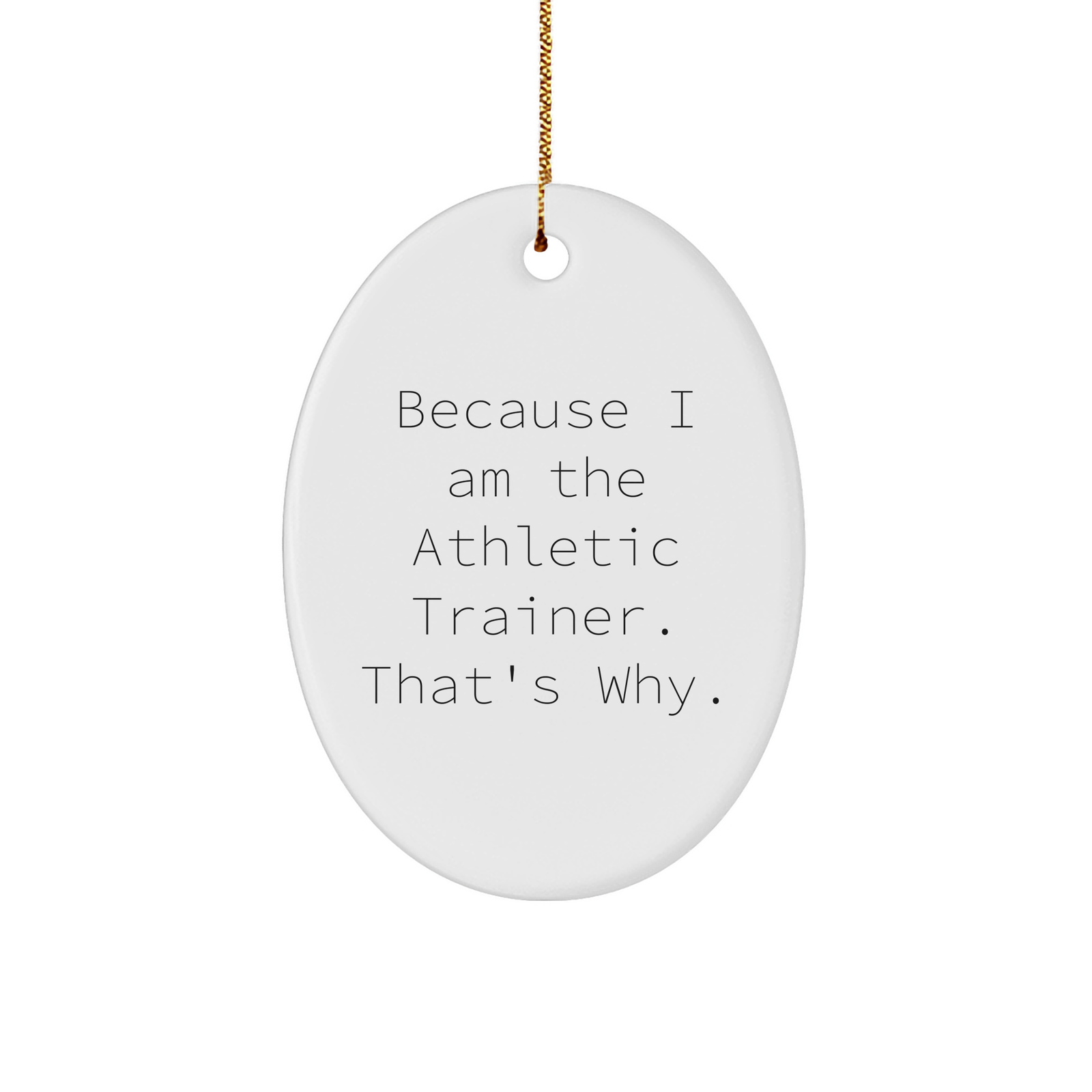 Athletic Trainer Gifts from Friends, Because I Am The, Oval Ornament for Christmas - Unique Gifts for Men, Women, Family - Image 1