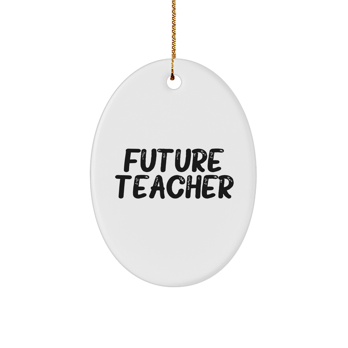 Inspirational Future Teacher Oval Ornament Gifts for Teacher Appreciation Christmas - Encouragement Quote, Cute MDF Decoration, Gifts from Teacher to Students - Image 1