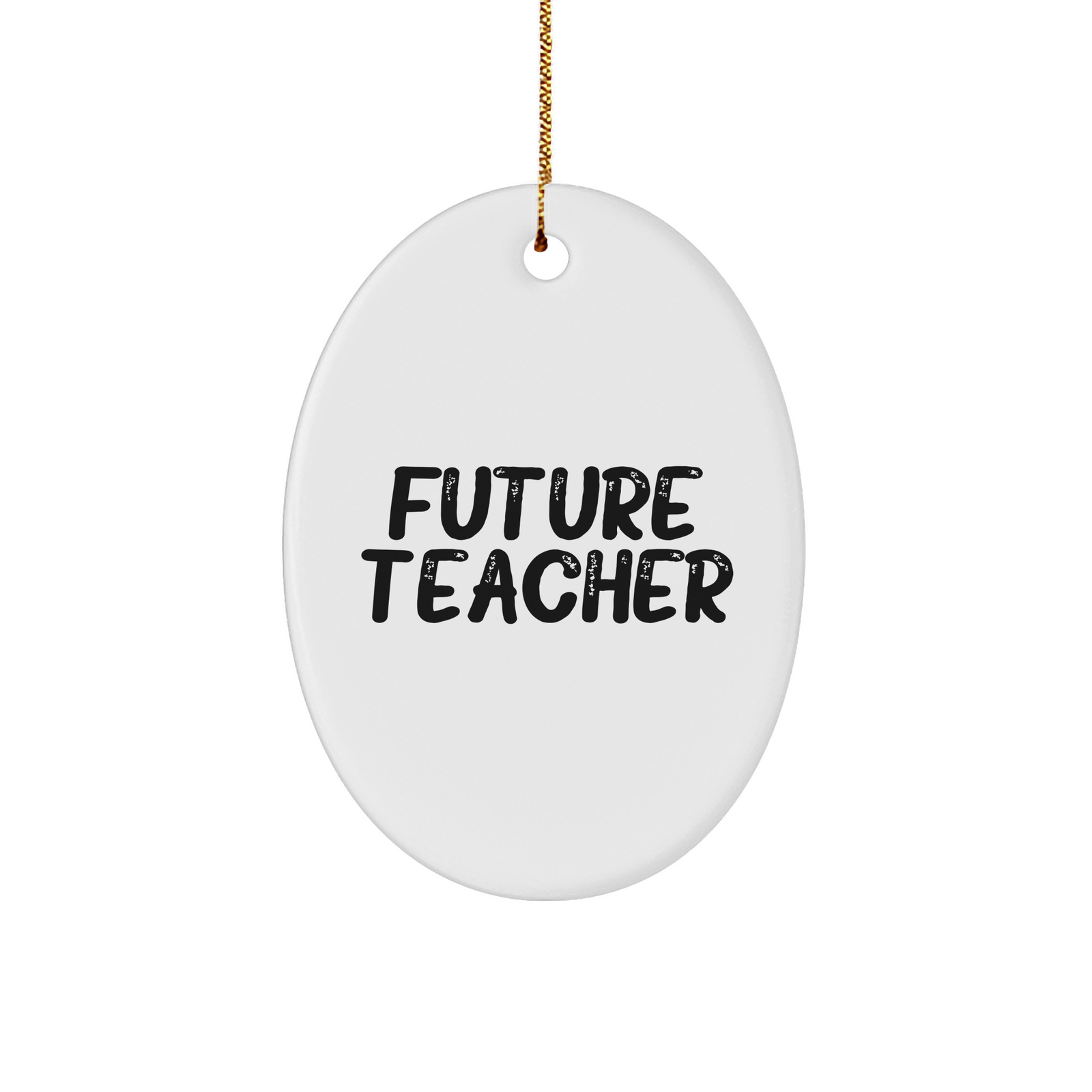 Inspirational Future Teacher Oval Ornament Gifts for Teacher Appreciation Christmas - Encouragement Quote, Cute MDF Decoration, Gifts from Teacher to Students - Image 1