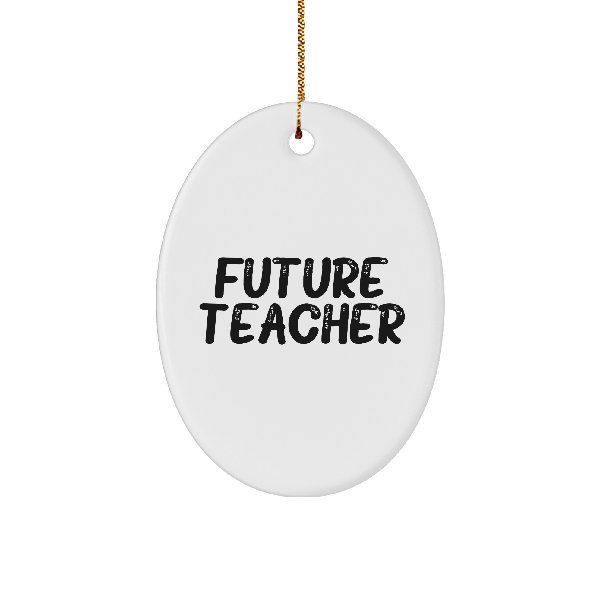 Inspirational Future Teacher Oval Ornament Gifts for Teacher Appreciation Christmas - Encouragement Quote, Cute MDF Decoration, Gifts from Teacher to Students - Image 1