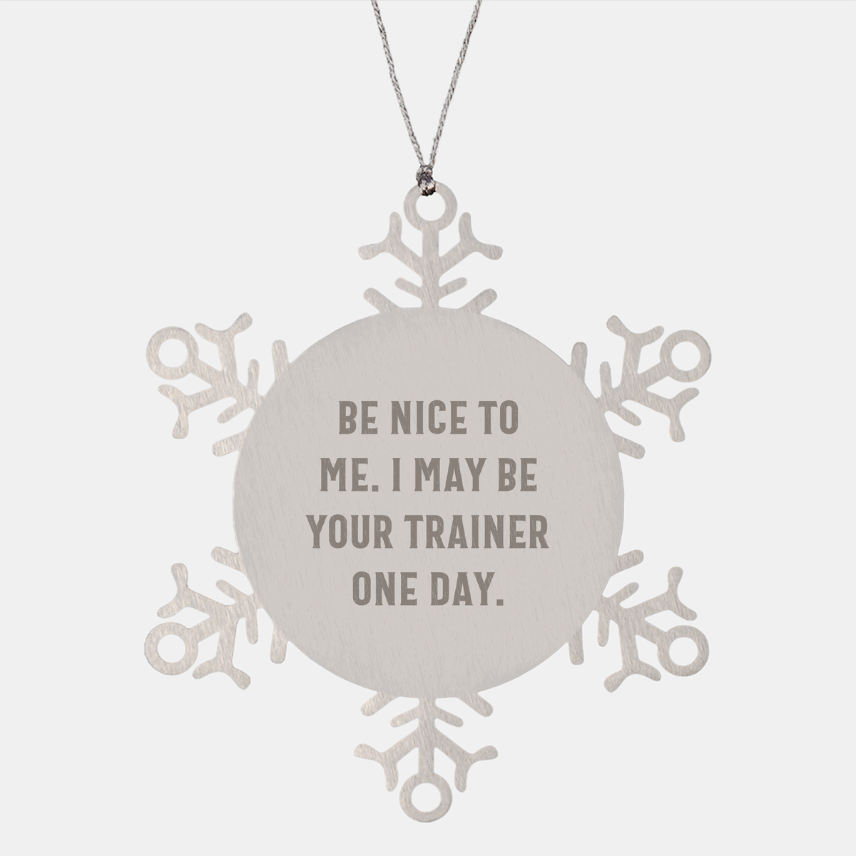 Funny Trainer Snowflake Ornament Gifts from Friends to Coworkers - Be Nice To Me. I May Be Your Trainer One Day. Christmas Unique Snowflake Ornaments - Image 1