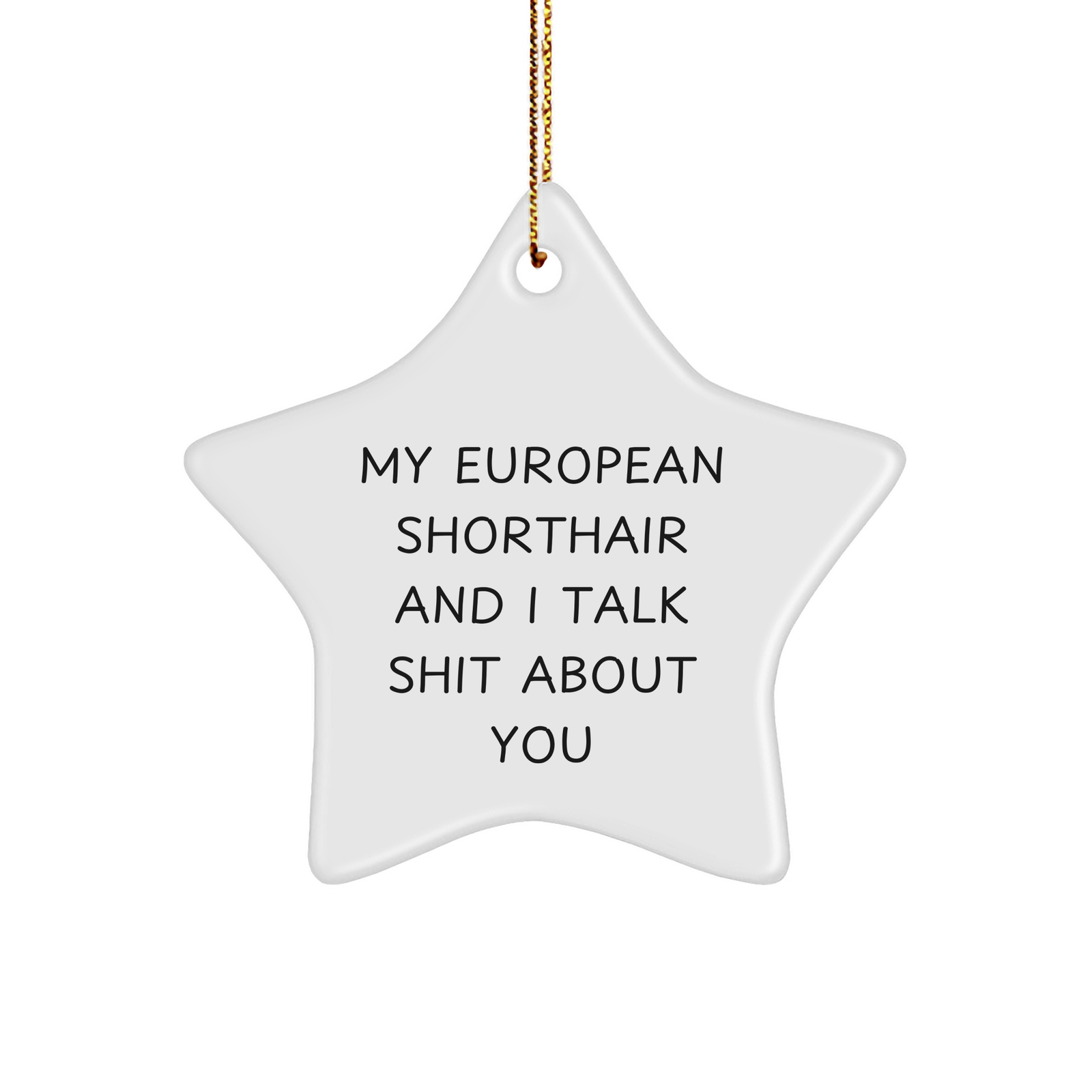 European Shorthair Cat Lovers Funny Star Ornament Gifts for Men from Friends and Family at Christmas - Image 1
