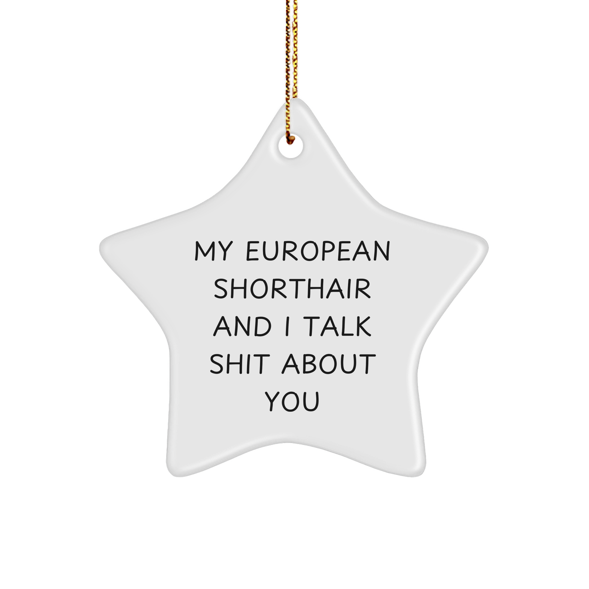 European Shorthair Cat Lovers Funny Star Ornament Gifts for Men from Friends and Family at Christmas - Image 1