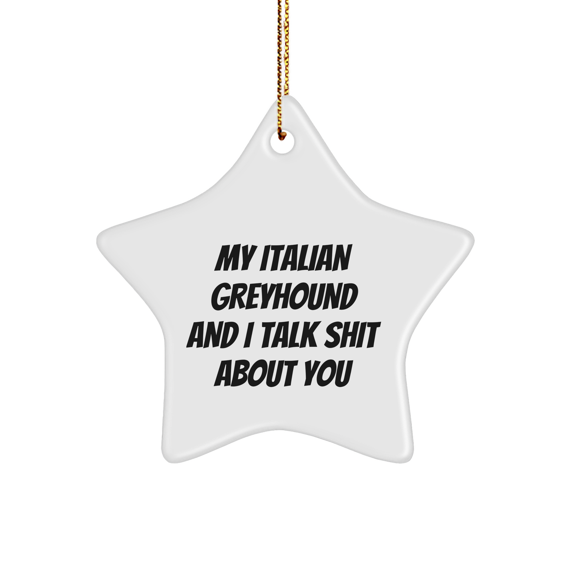 Funny Italian Greyhound Dog Gifts from Men to Italian Greyhound Dog Owners for Christmas Unique Gifts - 'My Italian Greyhound And I Talk Shit About You' Star Ornament - Image 1