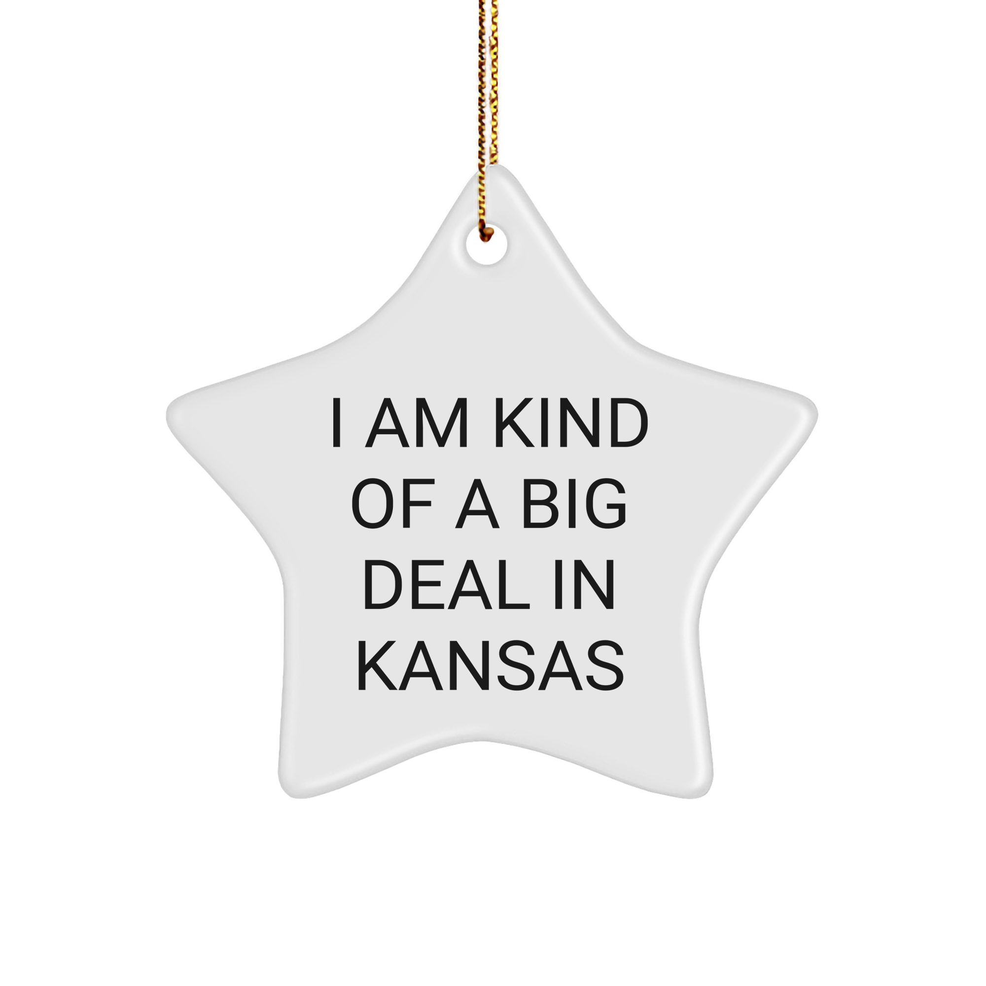 Funny Kansas Gifts - I Am Kind Of A Prime Selection In Kansas Star Ornament for Men Women Friends Family, Unique Christmas Unique Gifts from Kansas - Image 1