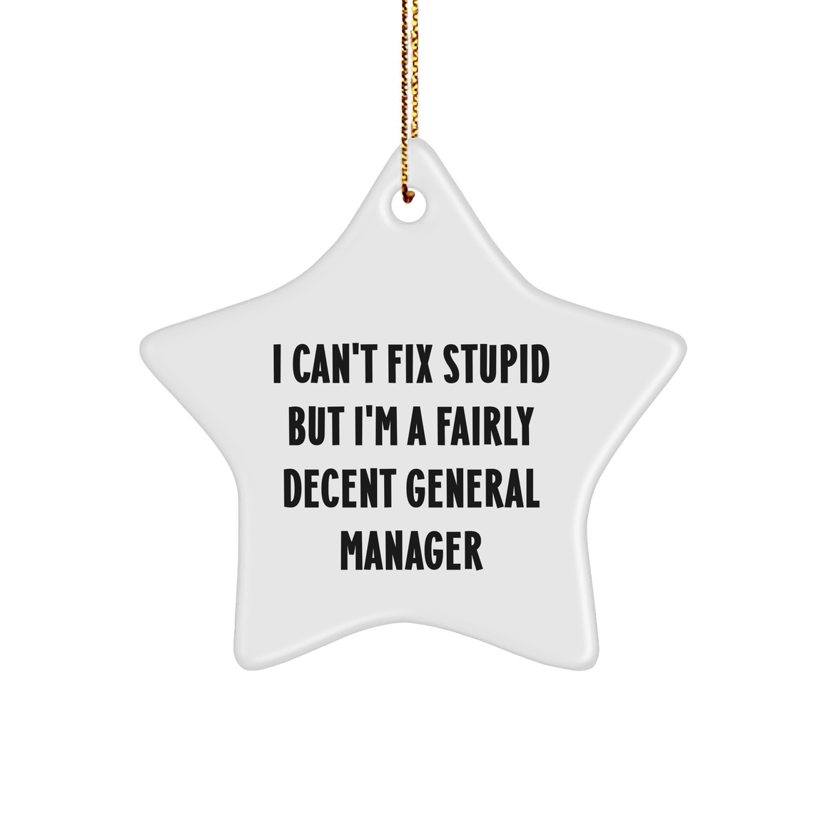 I Can't Fix Stupid But I'm A Fairly Decent General Manager Funny Star Ornament Gift for Christmas - Inspirational General Manager Quotes - Unique Gifts for General Managers from Family - Image 1