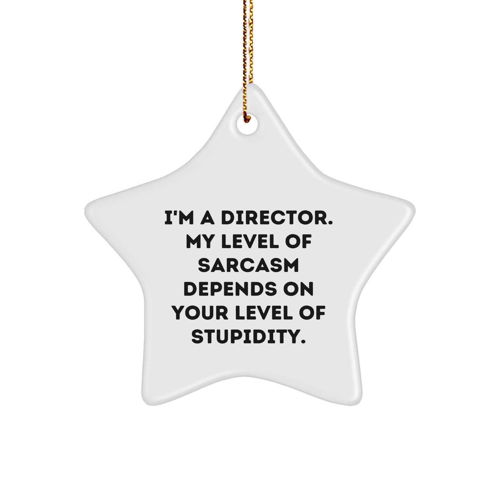 Funny Director Gift Sarcasm Star Ornament for Director Chairman CEO Leaders Friends Family, I'm A Director, Christmas Unique Gifts from Men to Director Friends, Gifts for Director Team - Image 1