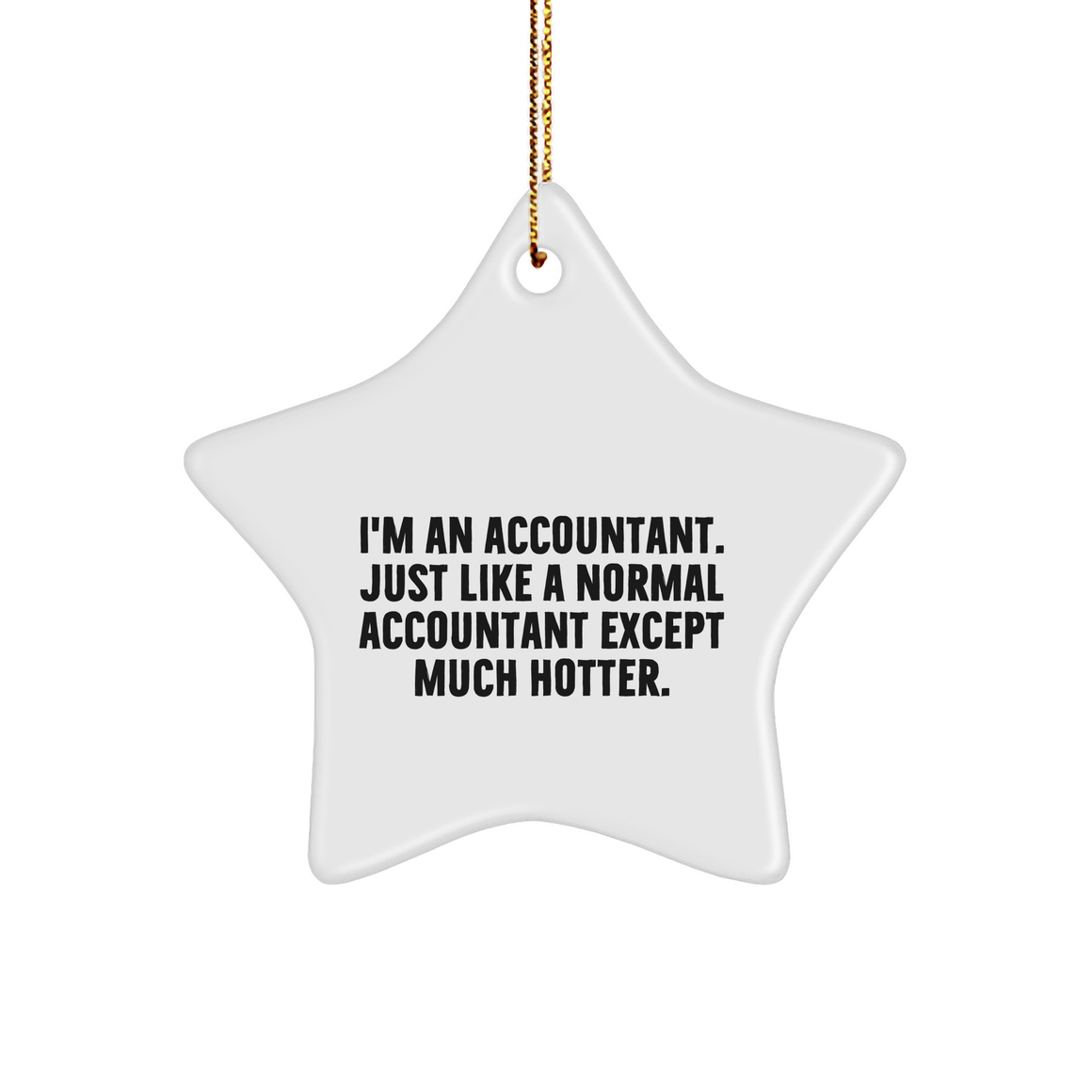 Funny Accountant Star Ornament, 'I'm An Accountant. Just Like A Normal Accountant Except Much Hotter.', Gifts from Friends for Accountant, Unique Christmas Unique Gifts - Image 1