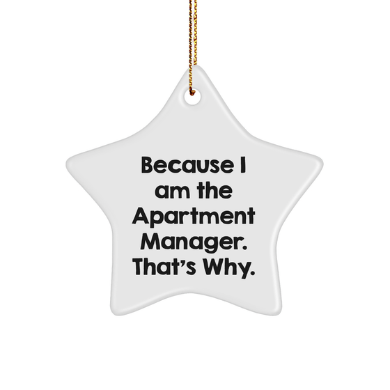 Because I Am The Apartment Manager That's Why! - Star Ornament for Apartment Manager Gifts - Funny Christmas Unique Gift for Men Women Friends Family - Unique Gifts from Apartment Manager Gifts - Image 1