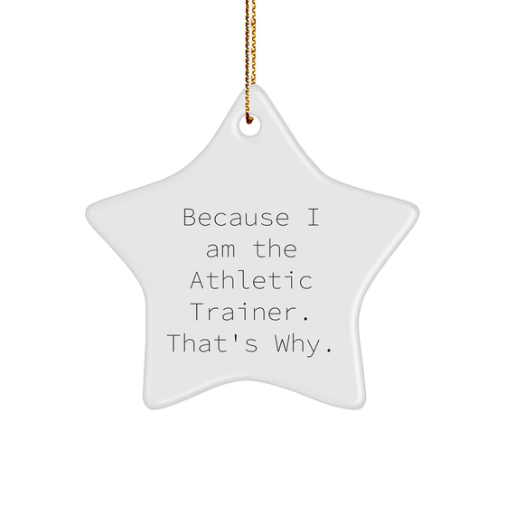 Funny Athletic Trainer Gifts from Friends - Because I Am The Athletic Trainer. That's Why. - Star Ornament for Christmas - Image 1