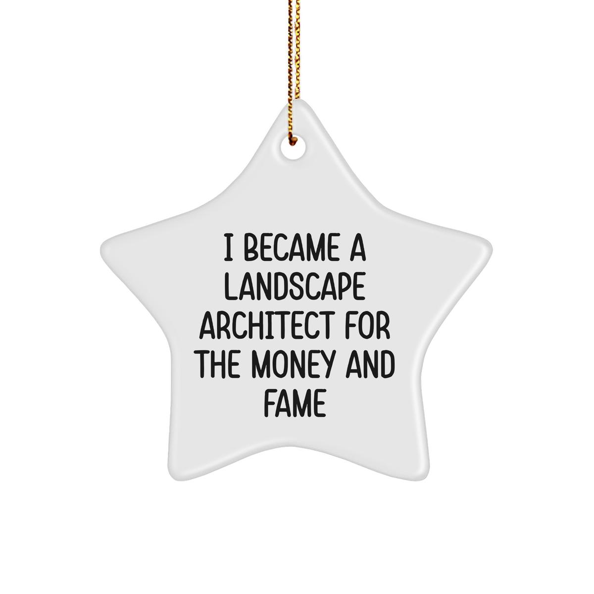 Landscape Architect Gifts from Friends to Family - Funny Star Ornament for Christmas, Inspirational Quote for Success - Image 1