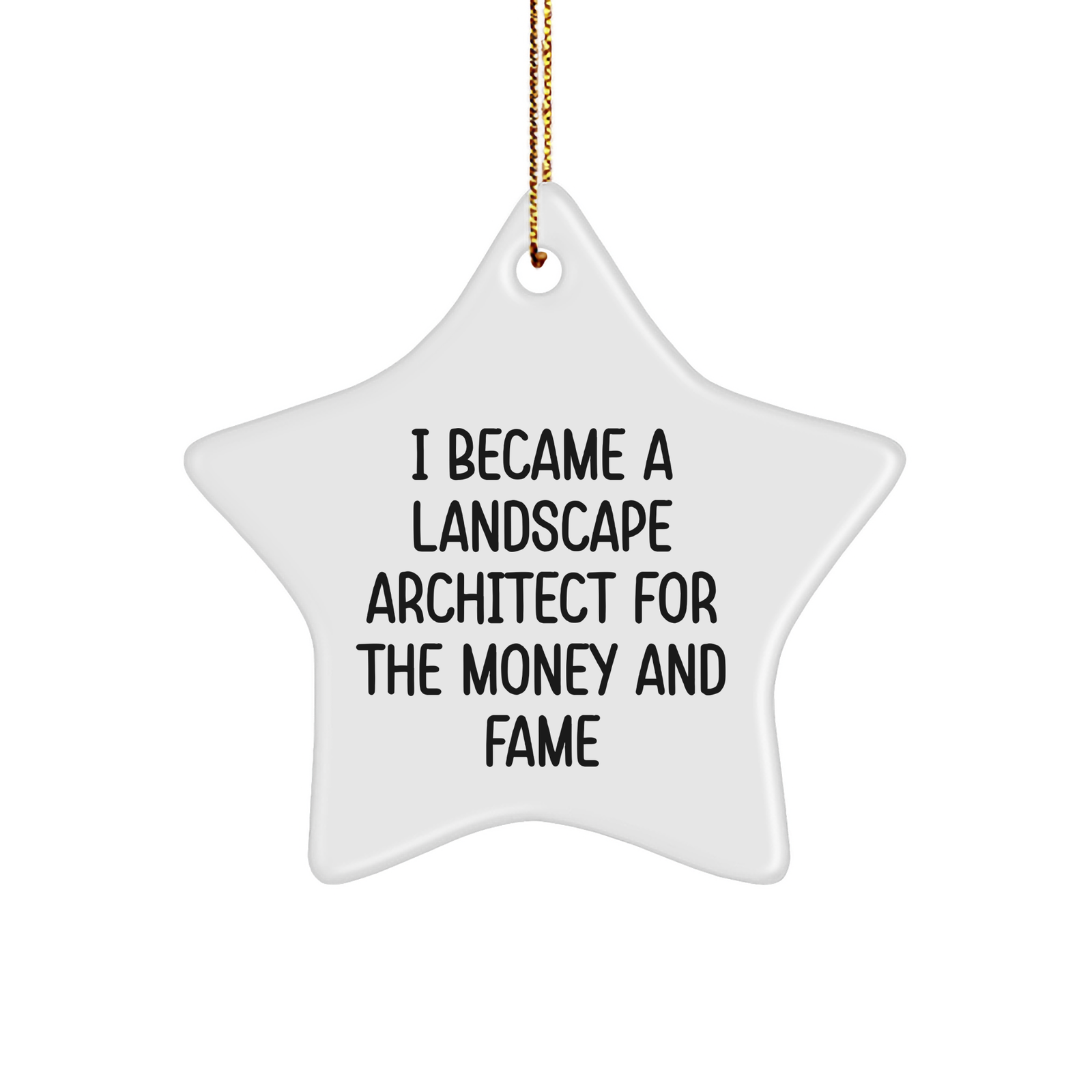 Landscape Architect Gifts from Friends to Family - Funny Star Ornament for Christmas, Inspirational Quote for Success - Image 1