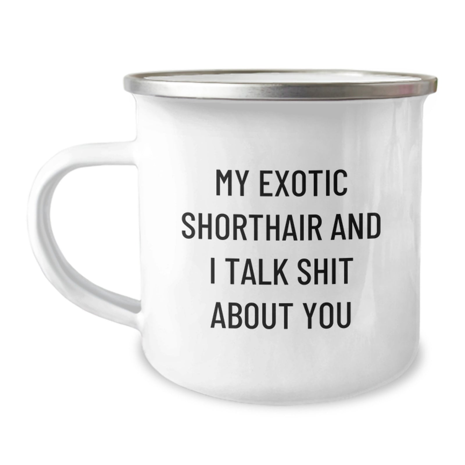 Funny Exotic Shorthair Cat Gifts from Friends to Family Members for Graduation Unique Mug - My Exotic Shorthair And I Talk Shit About You - Image 1