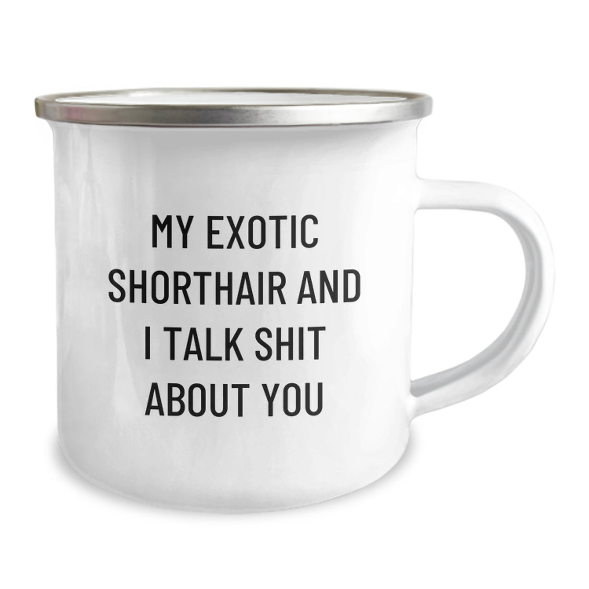Funny Exotic Shorthair Cat Gifts from Friends to Family Members for Graduation Unique Mug - My Exotic Shorthair And I Talk Shit About You - Image 2