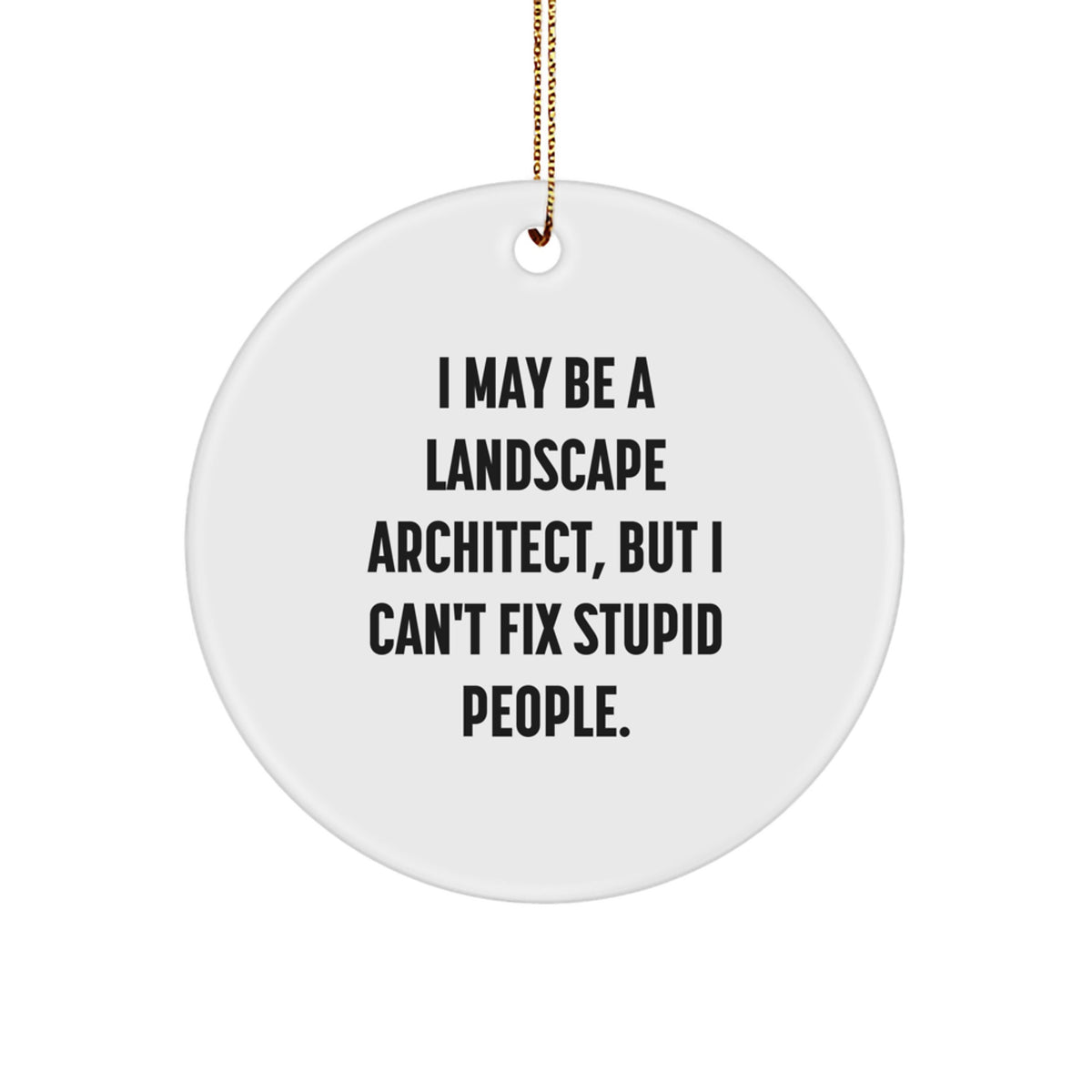 Funny Landscape Architect Gift Ideas for Coworkers - Circle Ornament, I May Be A Landscape Architect, But I Can't Fix Stupid People. Christmas Unique Gifts - Image 1