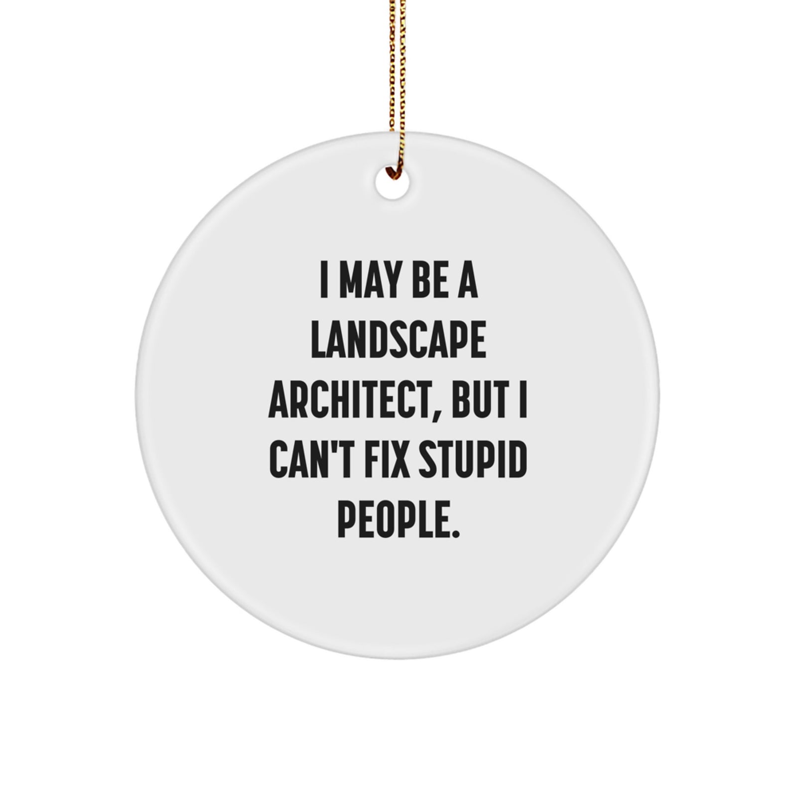 Funny Landscape Architect Gift Ideas for Coworkers - Circle Ornament, I May Be A Landscape Architect, But I Can't Fix Stupid People. Christmas Unique Gifts - Image 1