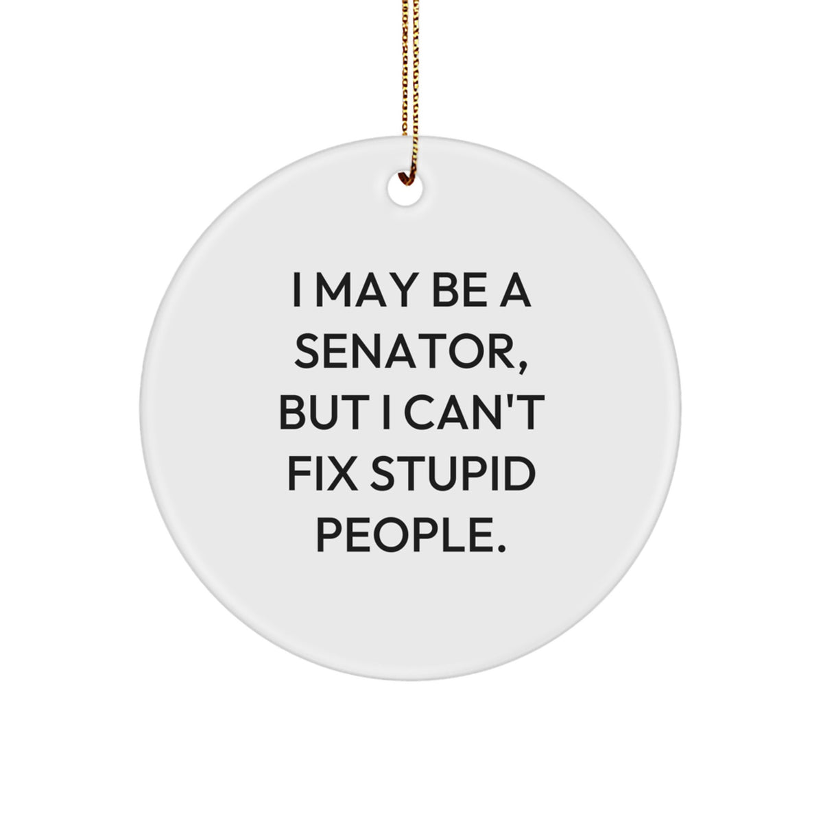 Senator Christmas Ornament Gift for Family - Treasure 'I May Be A - Image 1