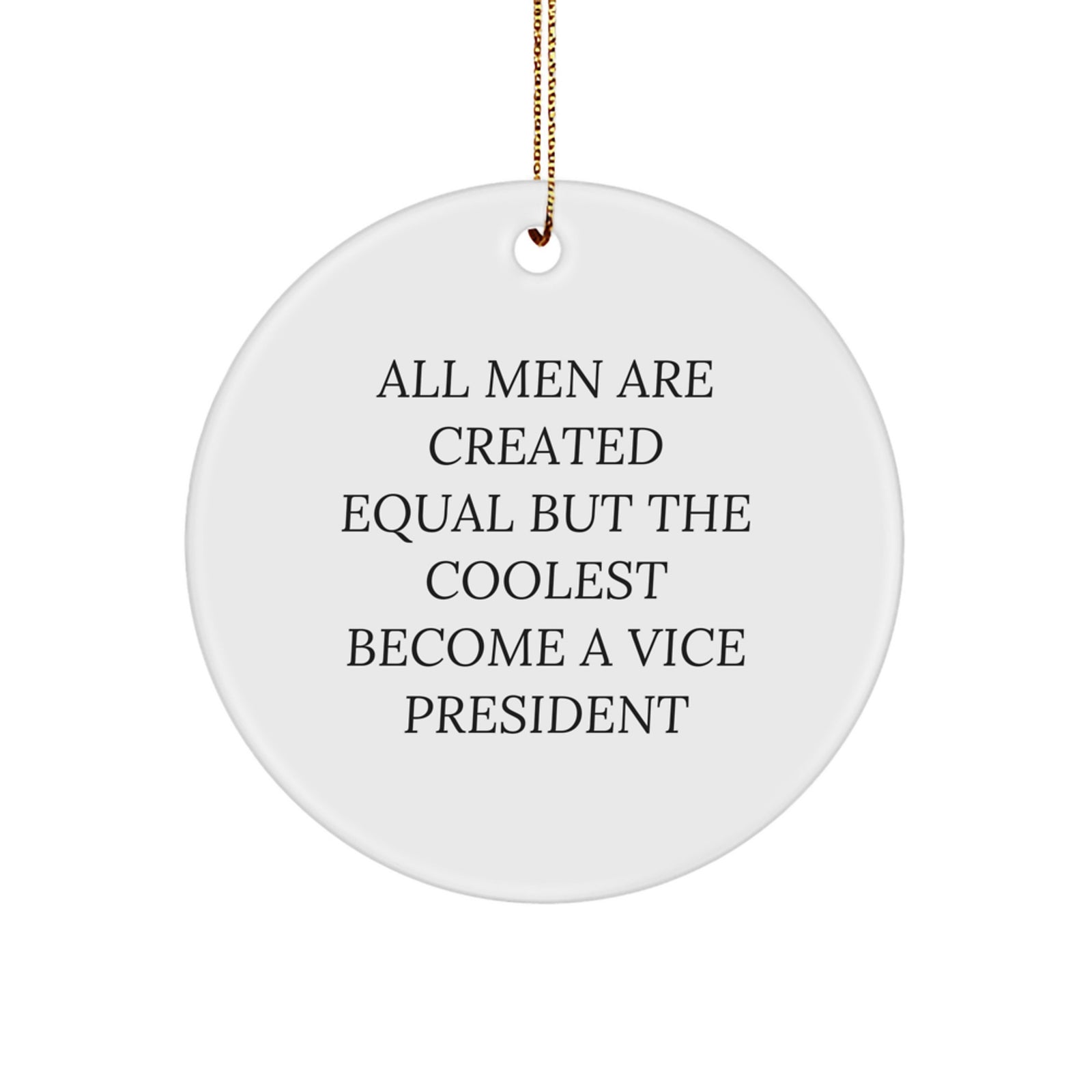 Funny Vice President Circle Ornament for Christmas Unique Gifts from Friends to Vice President Men - Image 1