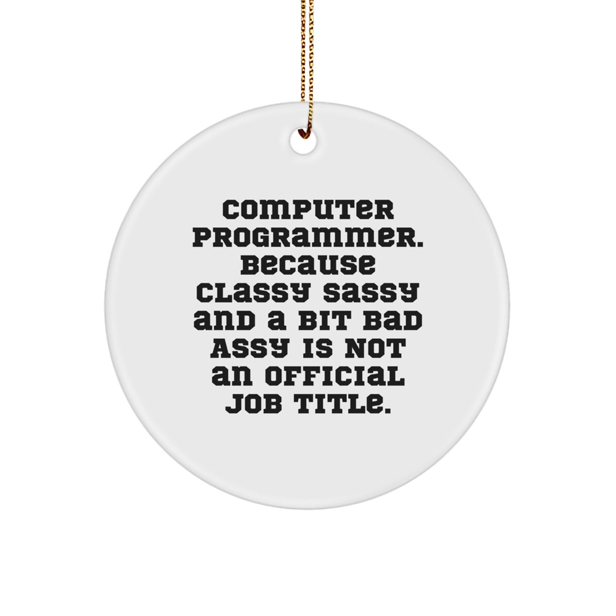 Funny Computer Programmer Gifts, Circle Ornament Humor for Friends and Family - Gifts from Men, Women, Coworkers, Gifts for Computer Programmer - Image 1