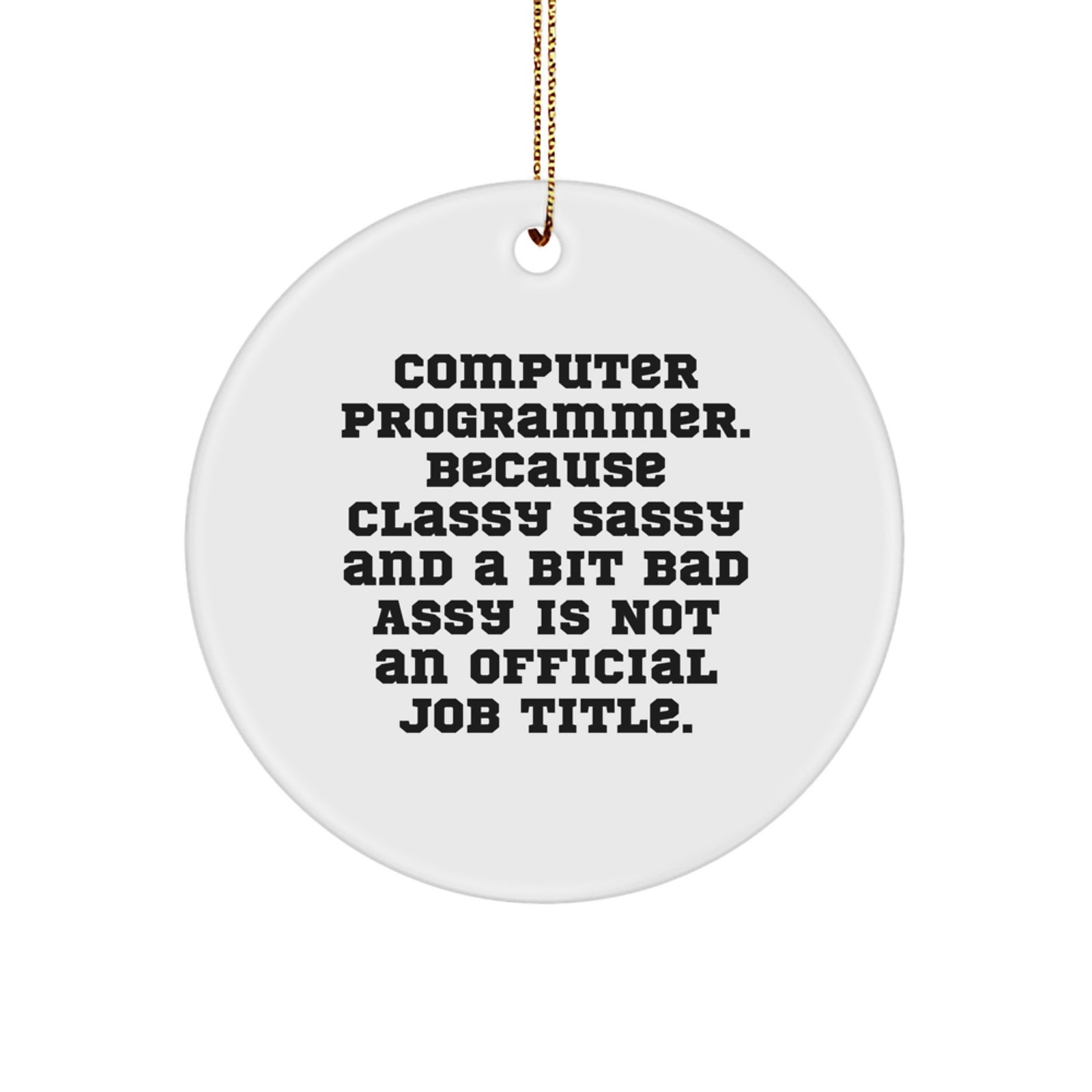 Funny Computer Programmer Gifts, Circle Ornament Humor for Friends and Family - Gifts from Men, Women, Coworkers, Gifts for Computer Programmer - Image 1