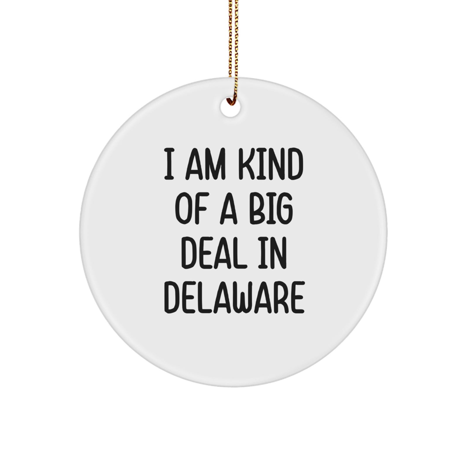 Funny Delaware Circle Ornament Gifts from Friends and Family for Delaware Lover's Christmas Unique Decorations - 'I Am Kind Of A Prime Selection In Delaware' Shaped Decoration - Image 1
