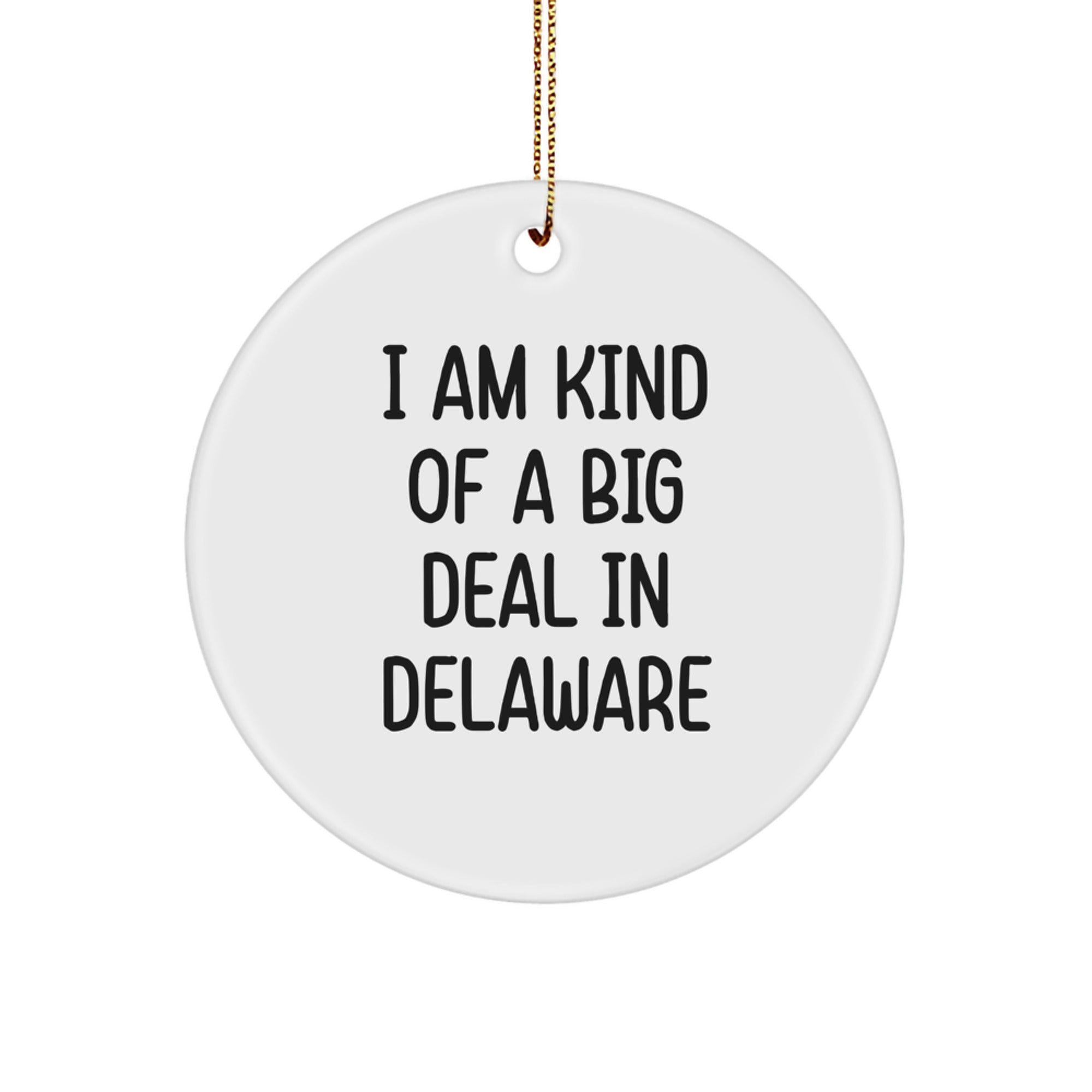 Funny Delaware Circle Ornament Gifts from Friends and Family for Delaware Lover's Christmas Unique Decorations - 'I Am Kind Of A Prime Selection In Delaware' Shaped Decoration - Image 1