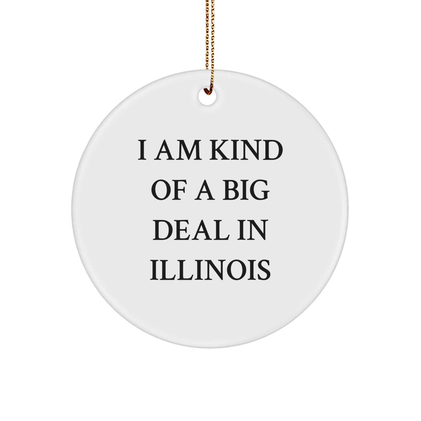 I Am Kind of a Prime Selection in Illinois Circle Ornament, Gifts from Friends and Family, Christmas Unique Illinois Decorations - Image 1