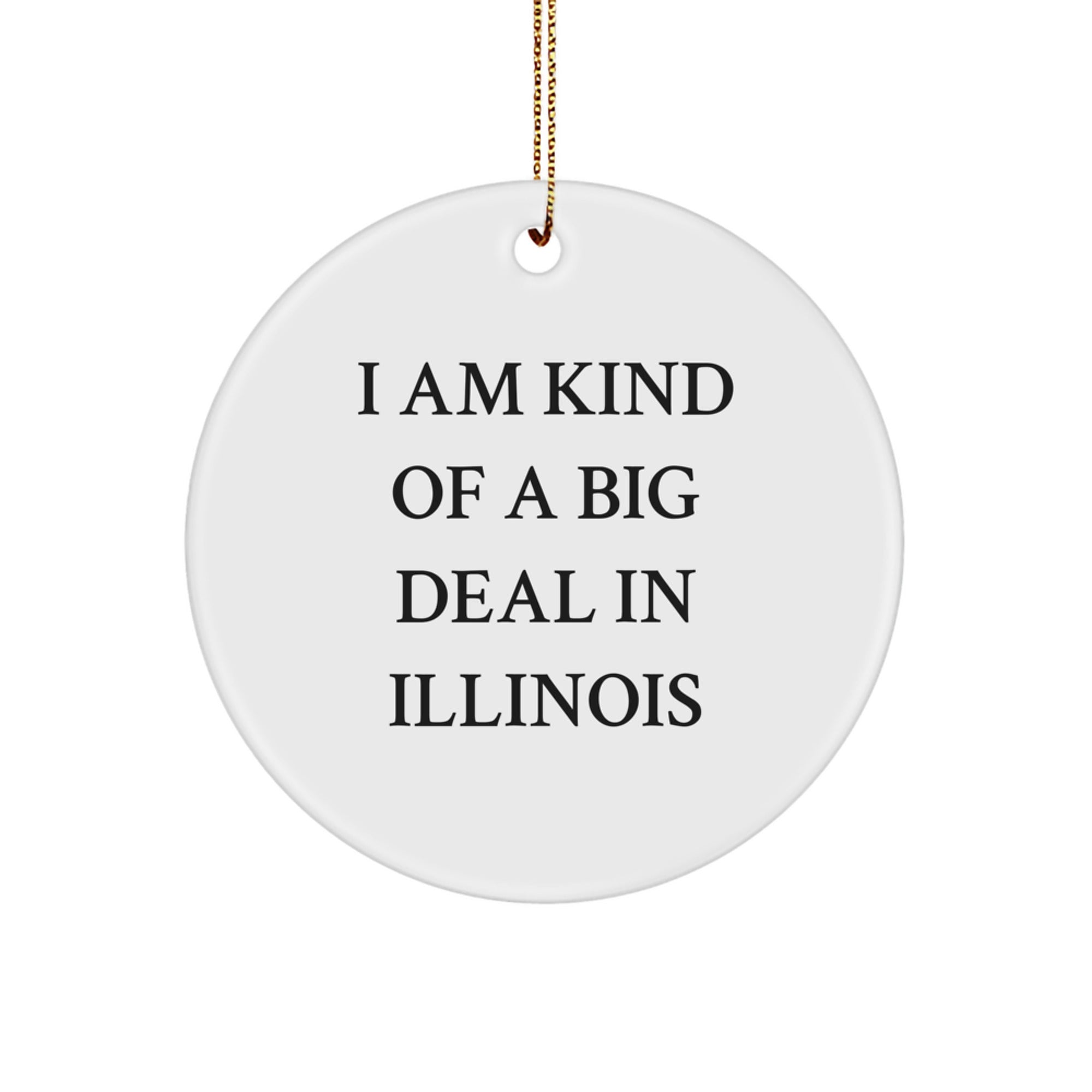 I Am Kind of a Prime Selection in Illinois Circle Ornament, Gifts from Friends and Family, Christmas Unique Illinois Decorations - Image 1