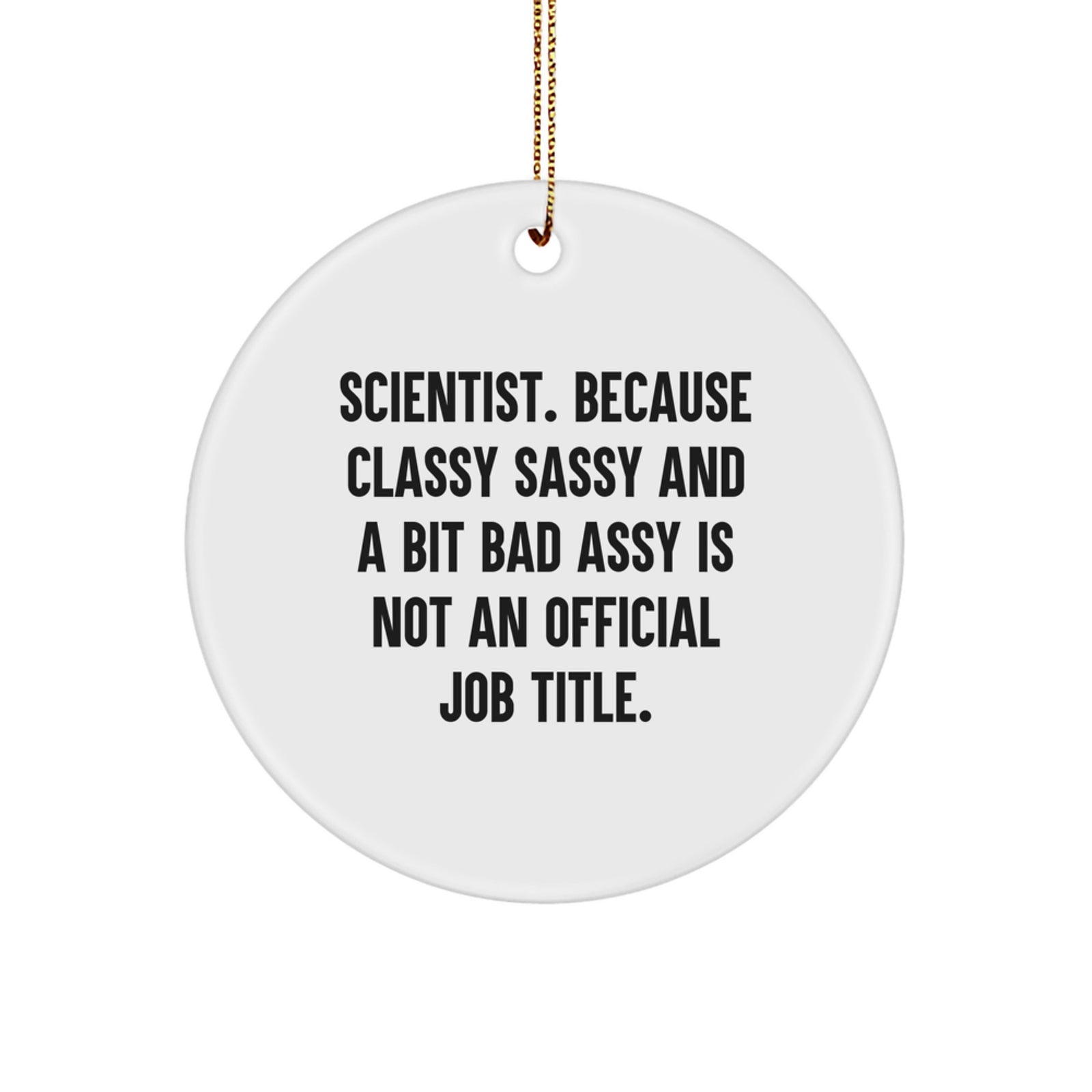Scientist MDF Circle Ornament Funny Quote Gifts from Family Friends Coworkers for Scientist Men Women - Scientist Christmas Unique Gift Idea - Image 1