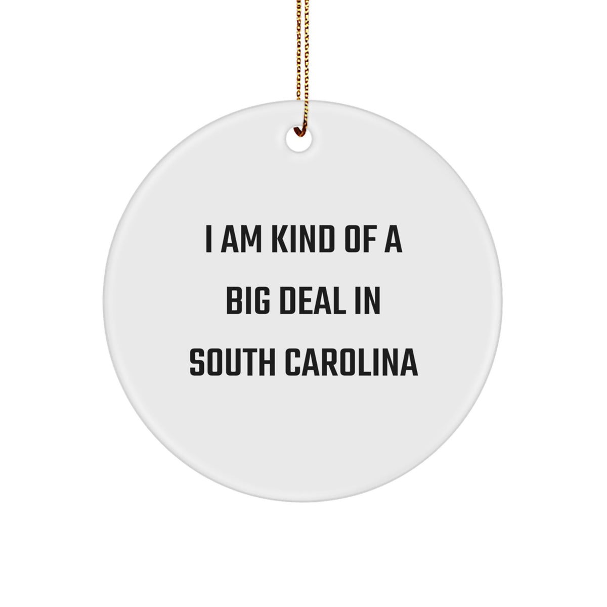 Funny South Carolina Gifts from Friends for Family - Circle Ornament, I Am Kind Of A Prime Selection In South Carolina, Christmas Unique Gifts - Image 1
