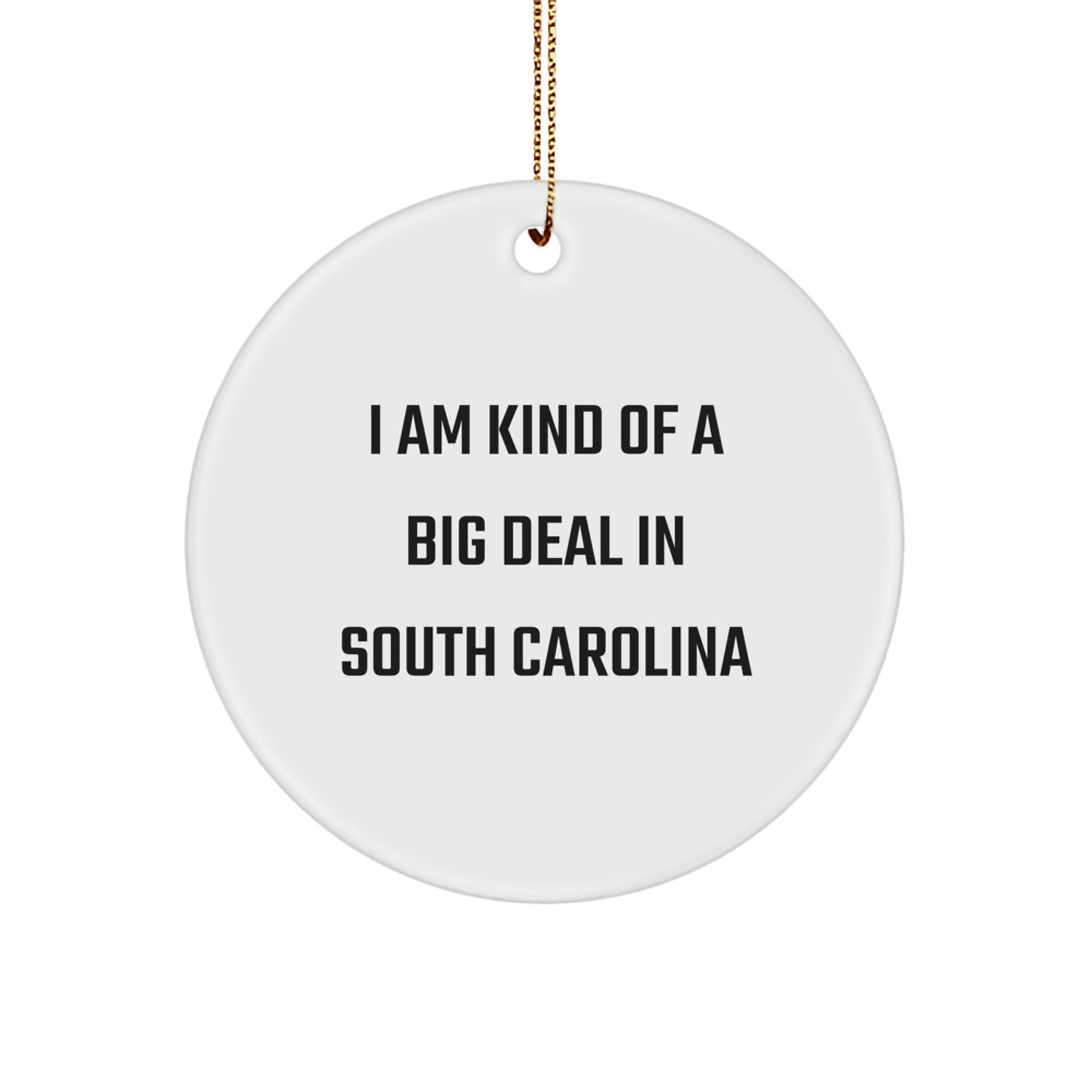 Funny South Carolina Gifts from Friends for Family - Circle Ornament, I Am Kind Of A Prime Selection In South Carolina, Christmas Unique Gifts - Image 1