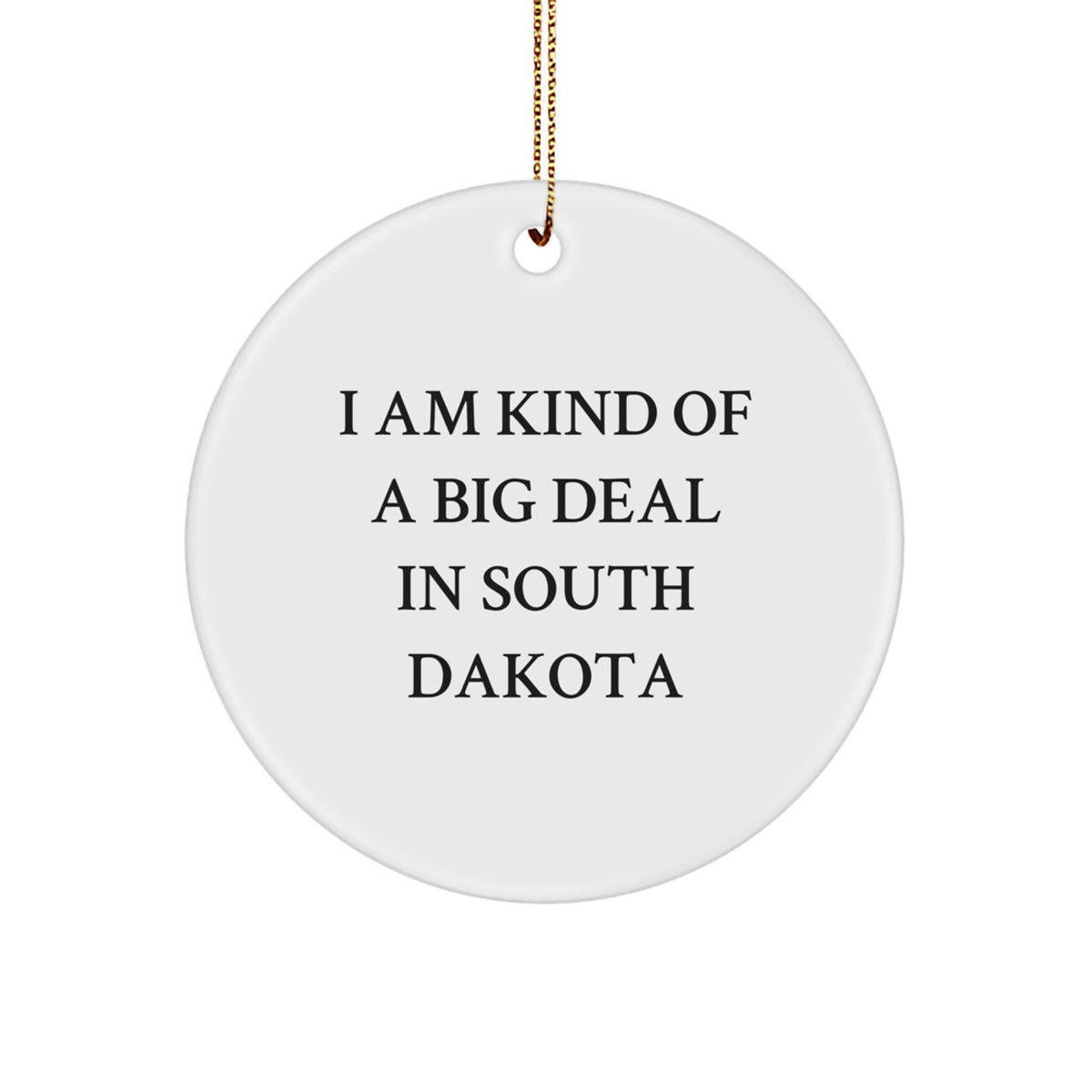 Funny South Dakota Circle Ornament Gifts from Friends to Family Members for Christmas - Image 1