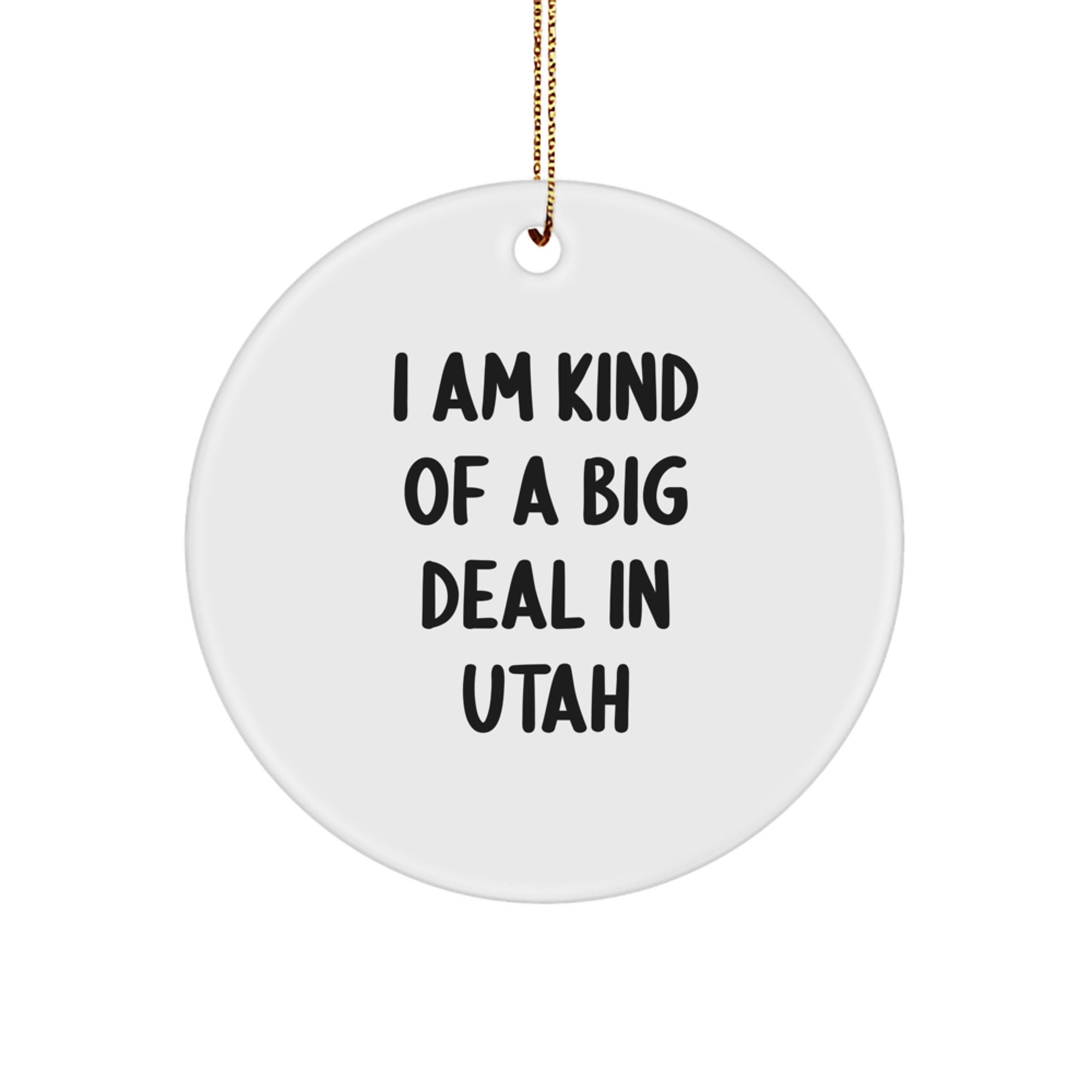 Utah Christmas Circle Ornament - I Am Kind Of A Prime Selection In Utah Gifts for Friends, Family, Coworkers - Image 1