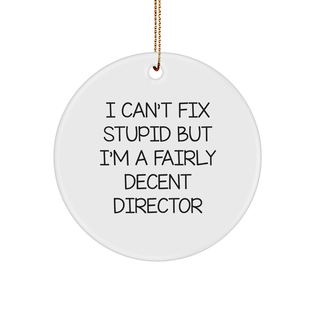 Funny Director Gifts from Men - I Can't Fix Stupid But I'm A Fairly Decent Director Christmas Unique Gifts for Him - Image 1
