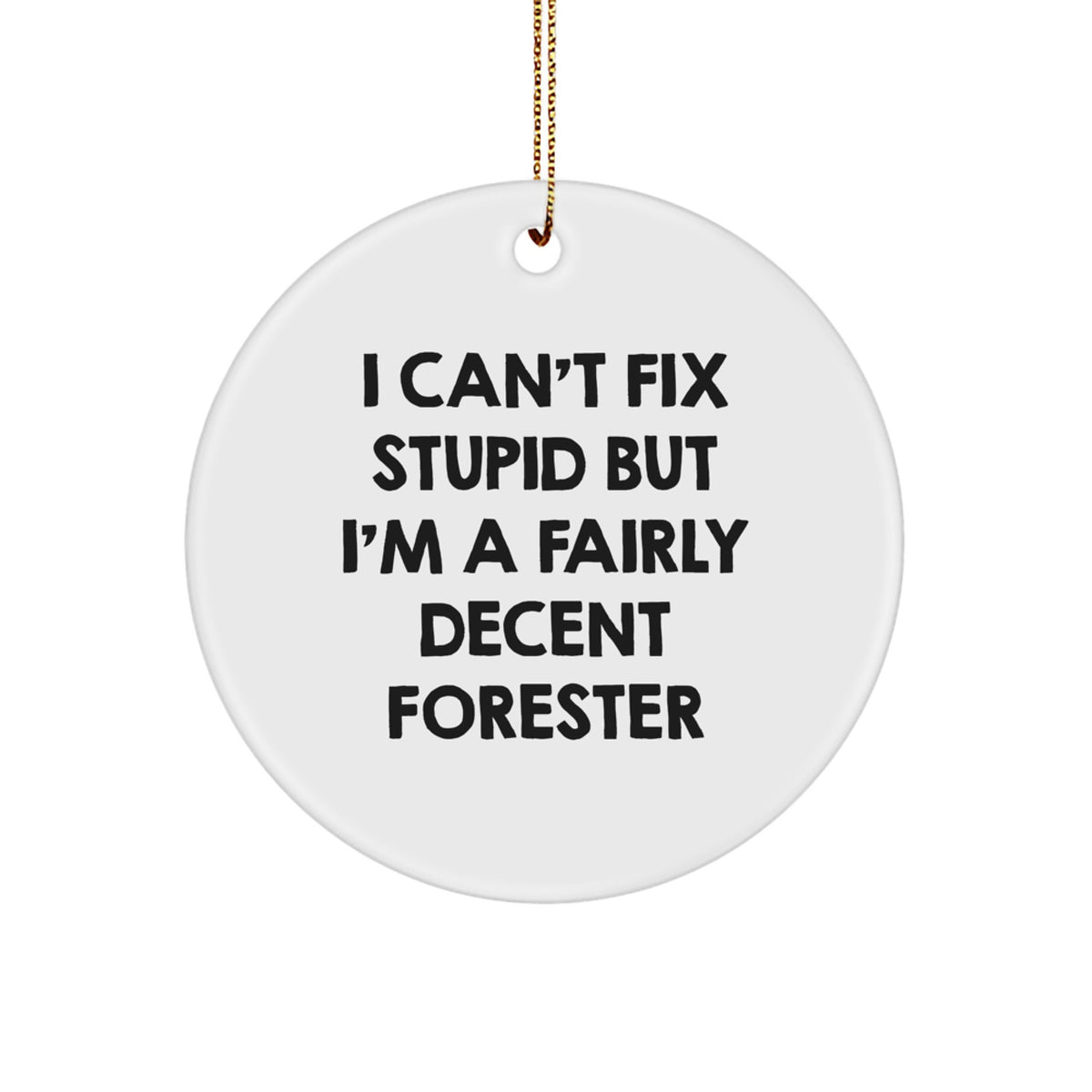 Forester Circle Ornament Gift Idea for Coworkers – I Can't Fix Stupid - Image 1