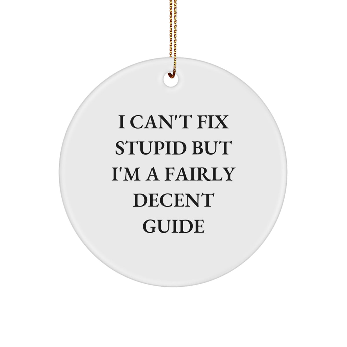 Funny Guide Gifts for Men from Friends - I Can't Fix Stupid But I'm A Fairly Decent Circle Ornament, Christmas Unique Gifts for Guide - Image 1