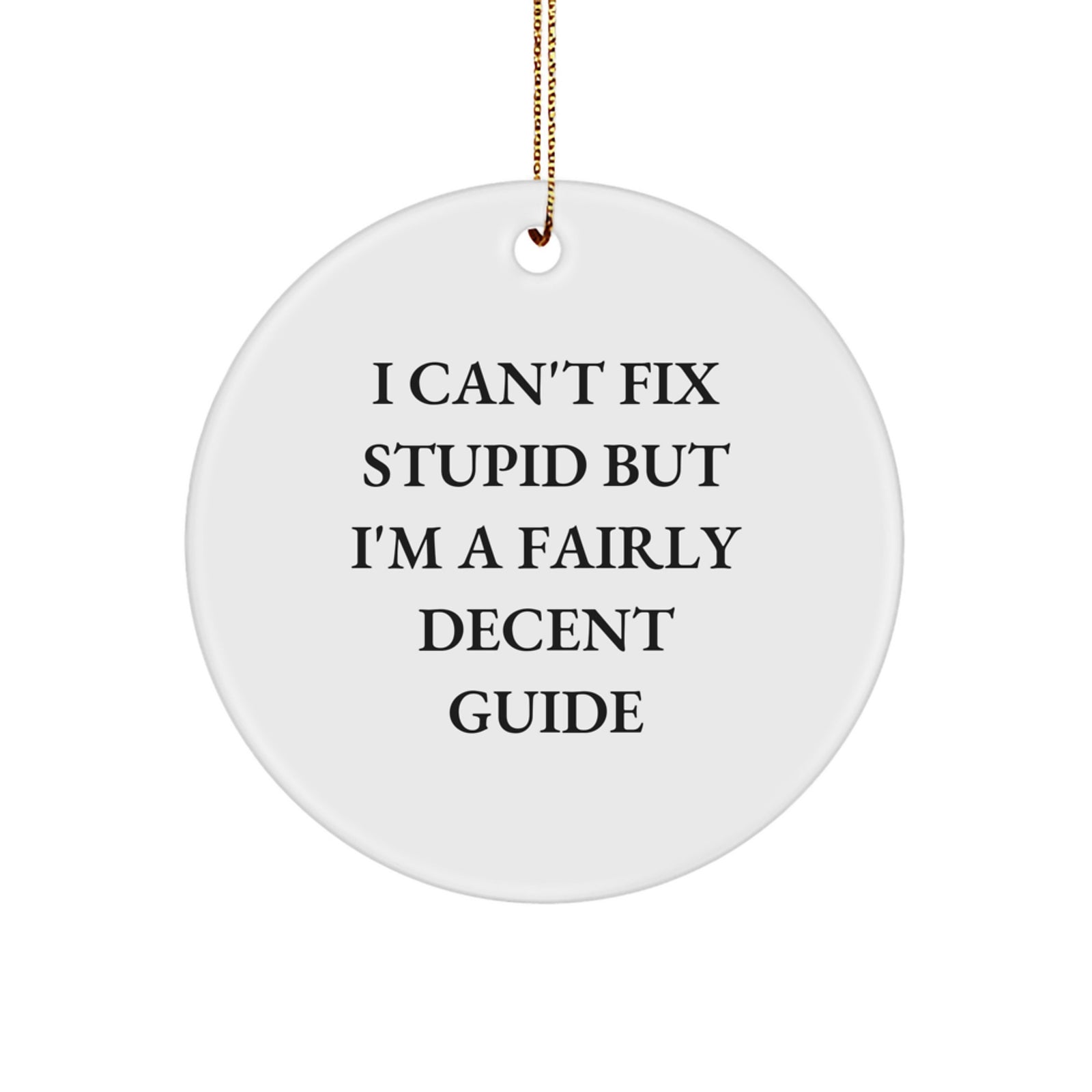 Funny Guide Gifts for Men from Friends - I Can't Fix Stupid But I'm A Fairly Decent Circle Ornament, Christmas Unique Gifts for Guide - Image 1