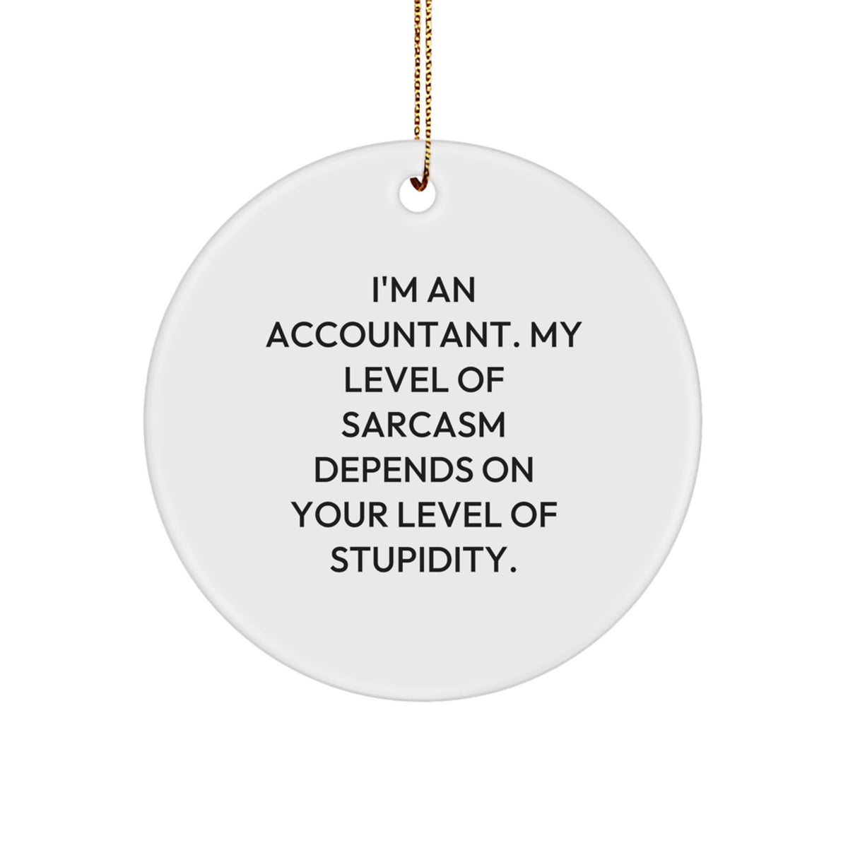 Funny Accountant Gifts Unique Circle Ornament from Friends for Christmas - Image 1