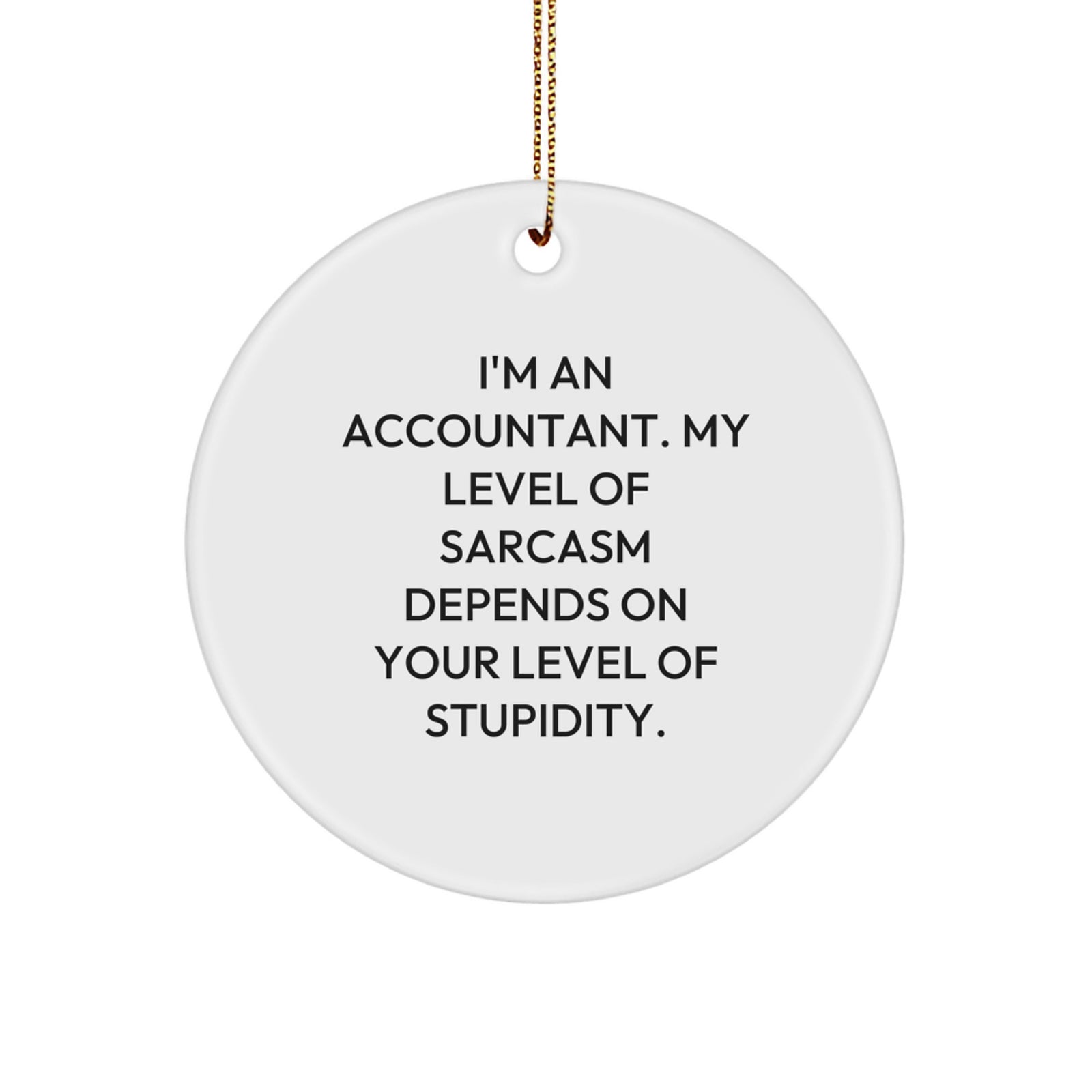 Funny Accountant Gifts Unique Circle Ornament from Friends for Christmas - Image 1