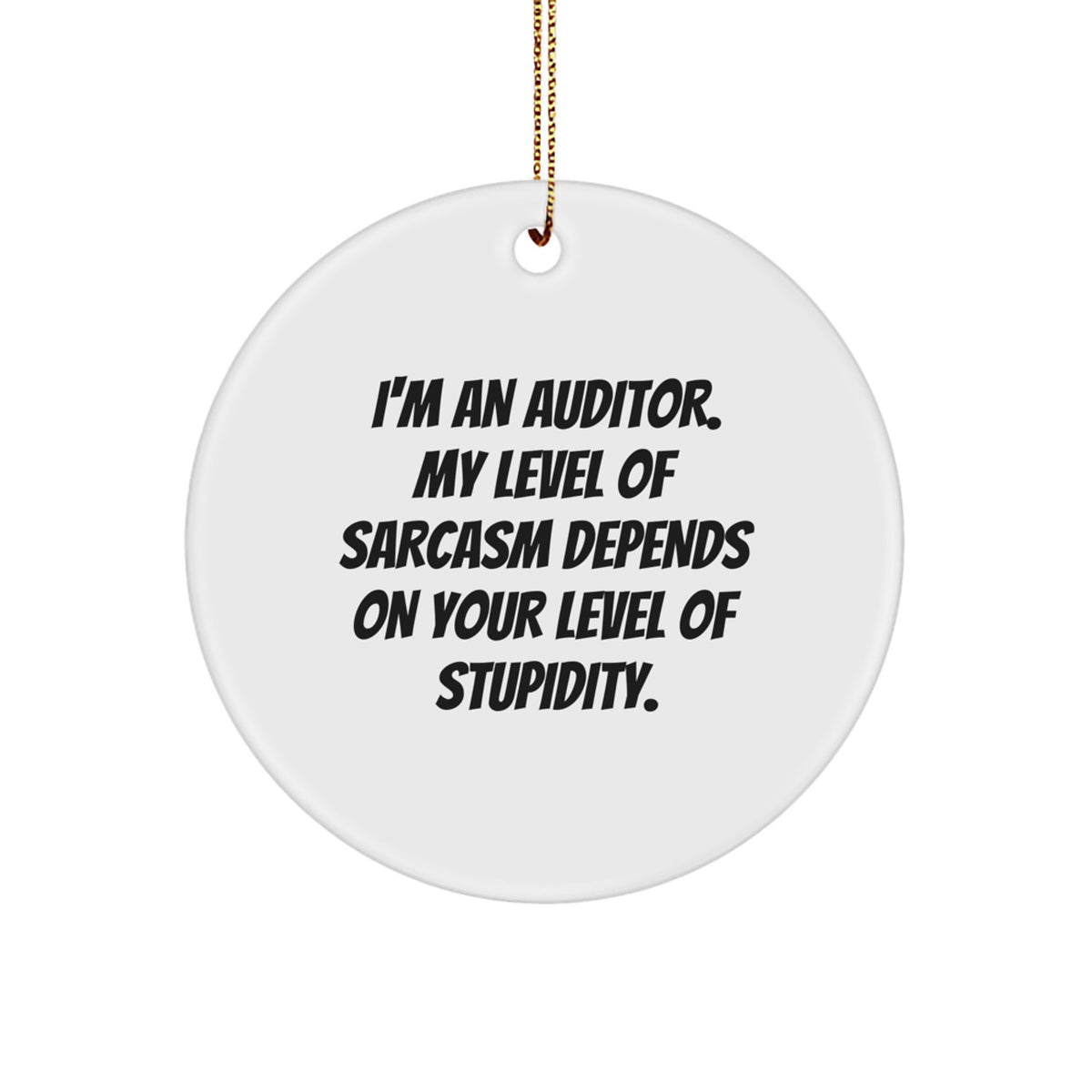 Funny Gift for Auditors and Friends, Circle Ornament with Sarcasm Humor, Unique Christmas Unique Gifts from Friends and Family - Image 1