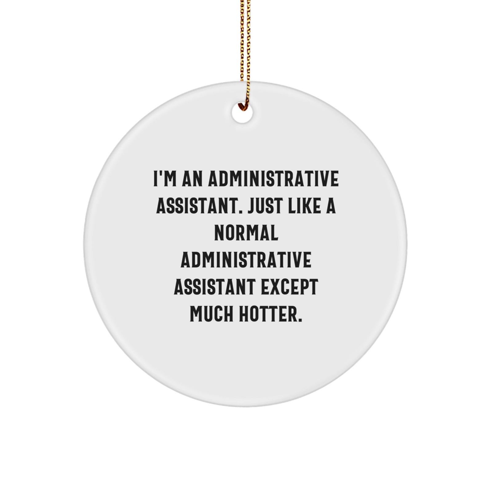 Funny Administrative Assistant Christmas Unique Gifts from Friends for Administrative Assistants Circle Ornament - Image 1