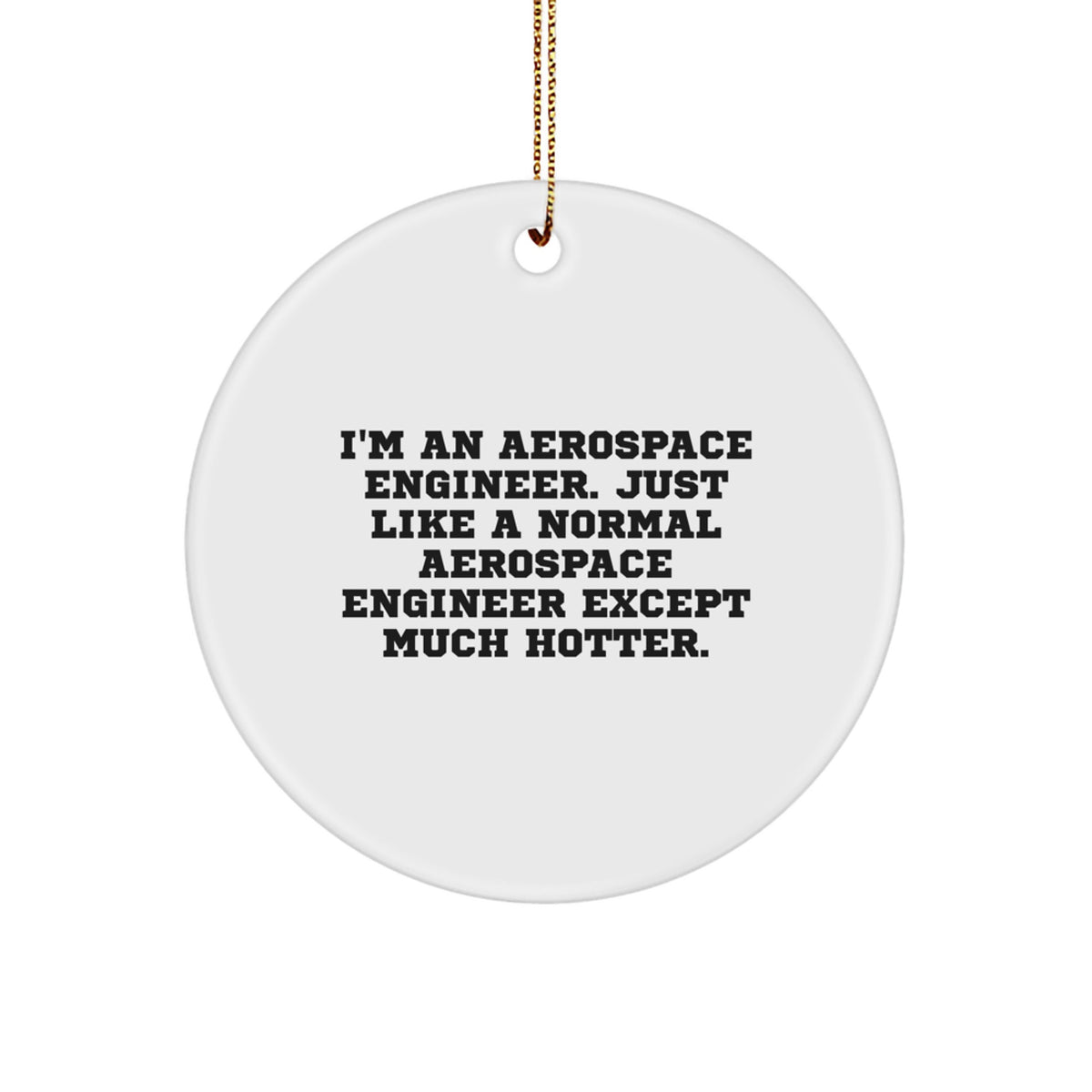 Aerospace Engineer Funny Christmas Unique Gift for Friends Men Women Coworkers Circle Ornament with Funny Quote - Image 1