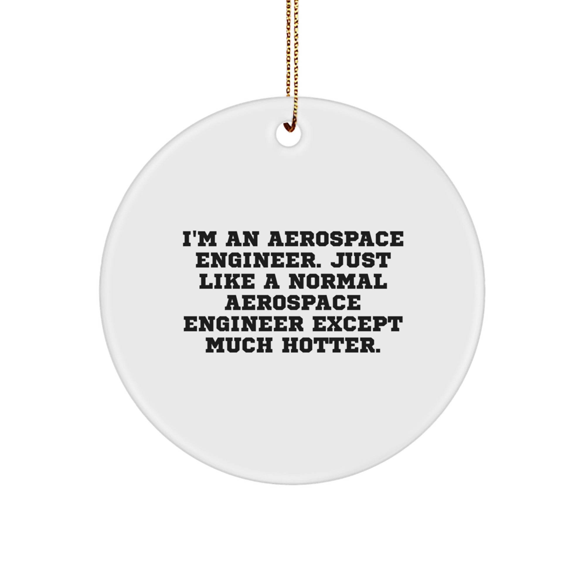 Aerospace Engineer Funny Christmas Unique Gift for Friends Men Women Coworkers Circle Ornament with Funny Quote - Image 1