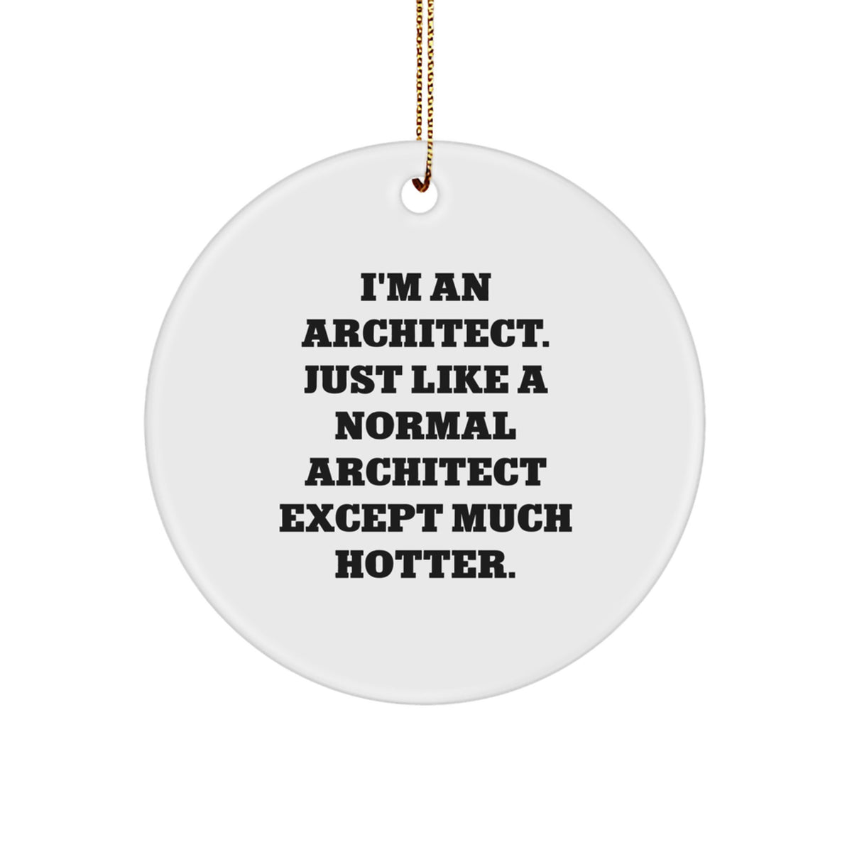 Funny Architect Circle Ornament Gifts from Friends to Family - Image 1