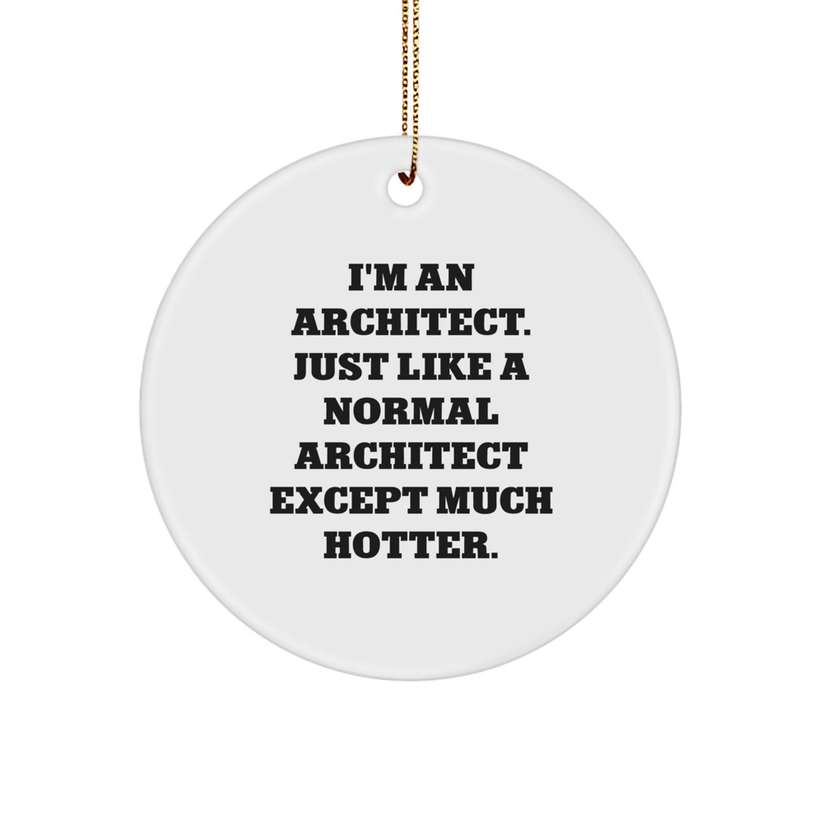 Funny Architect Circle Ornament Gifts from Friends to Family - Image 1