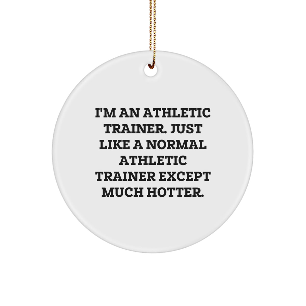 Funny Athletic Trainer Gifts from Men, Unique Circle Ornaments for Athletic Trainers, I'm An Athletic Trainer Gift for Christmas Unique Gifts - Image 1
