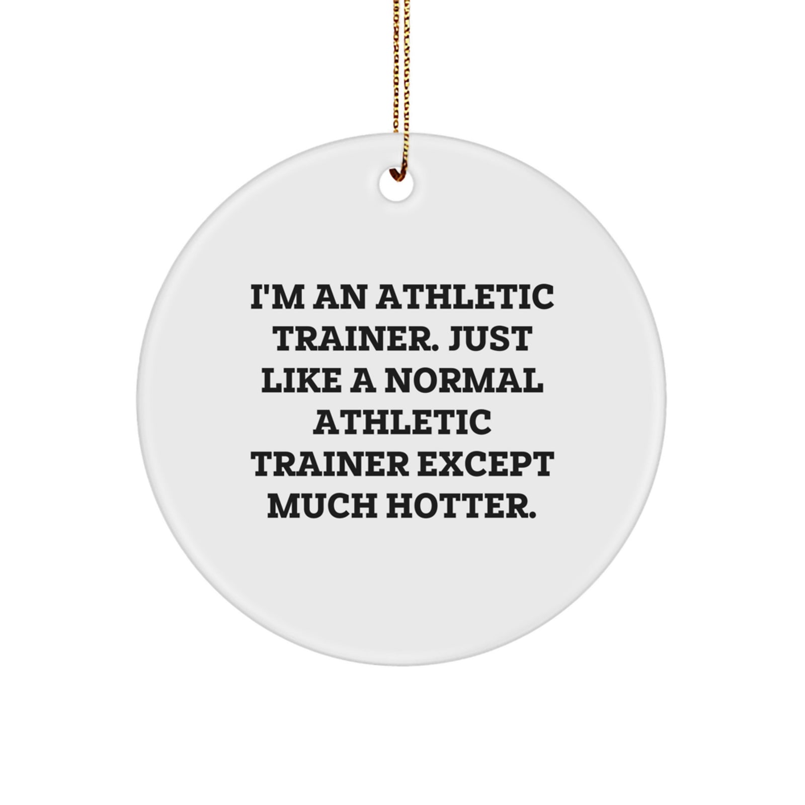 Funny Athletic Trainer Gifts from Men, Unique Circle Ornaments for Athletic Trainers, I'm An Athletic Trainer Gift for Christmas Unique Gifts - Image 1