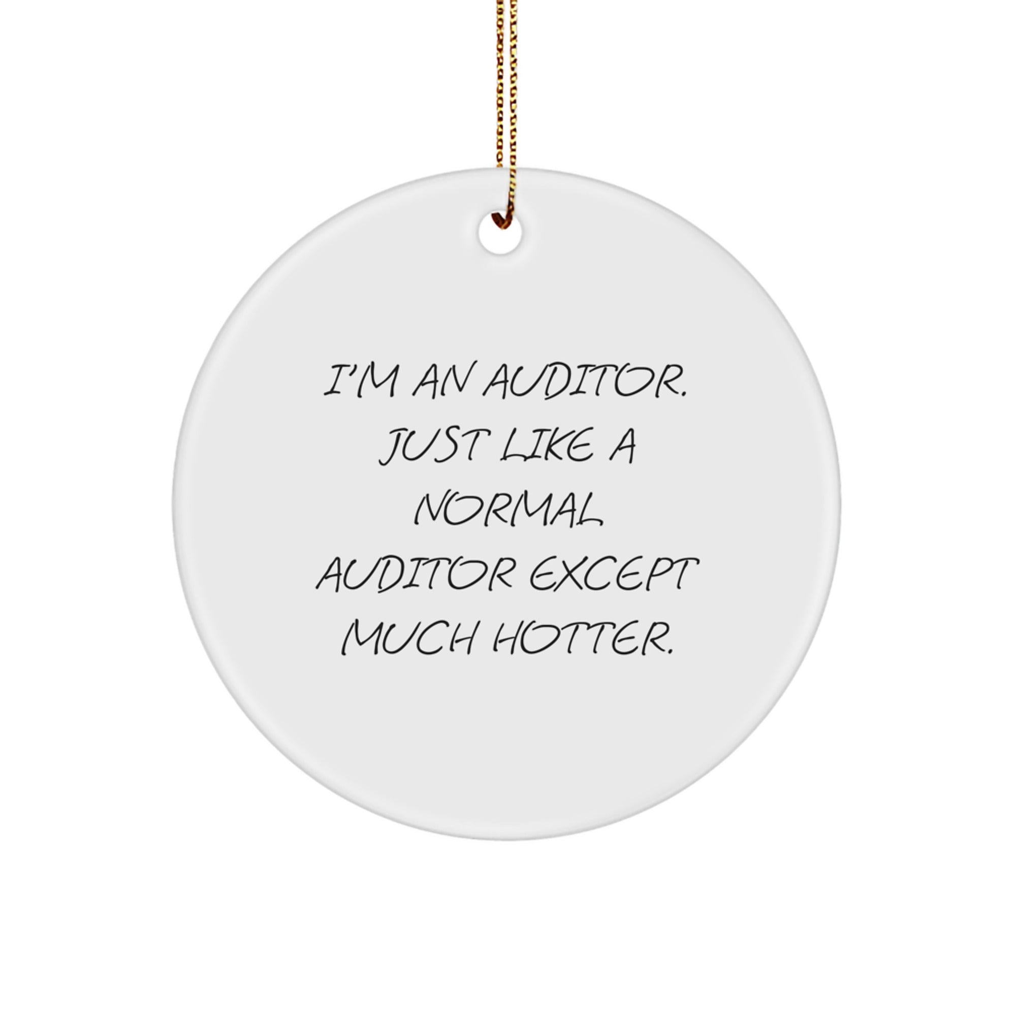Auditor Christmas Unique Gifts for Men - Funny Circle Ornament from Friends, Coworkers, Family - Image 1